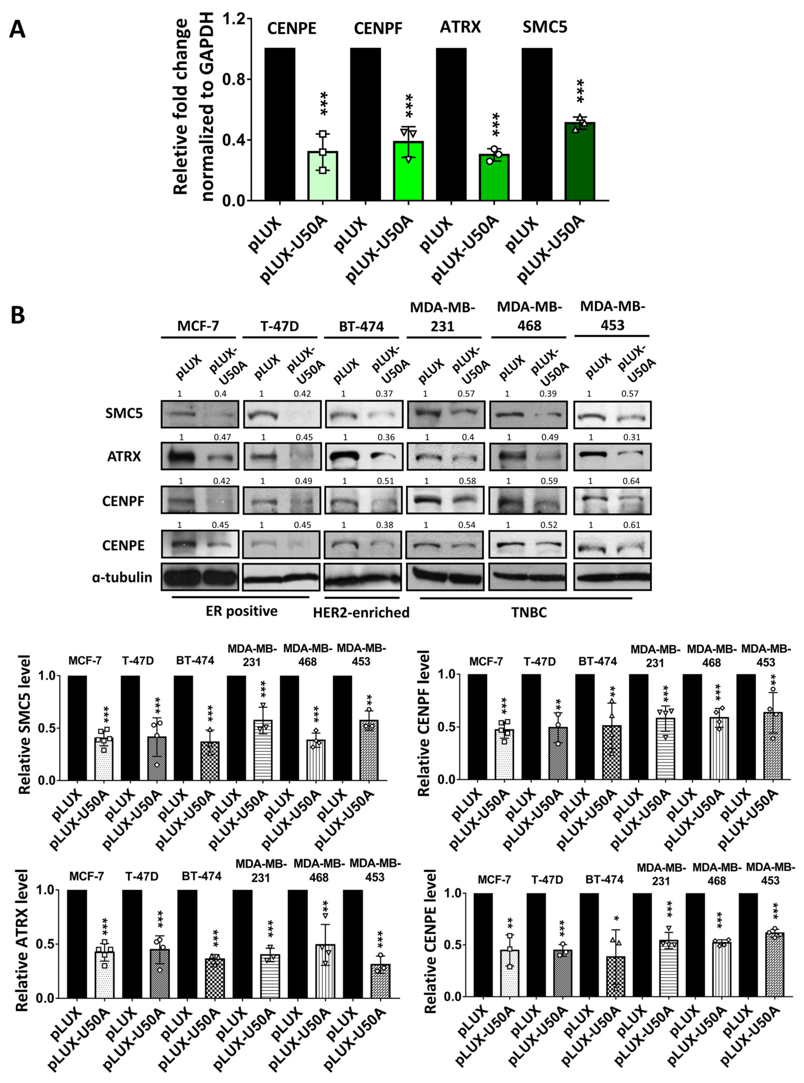 Cancers 13 06304 g003a 550