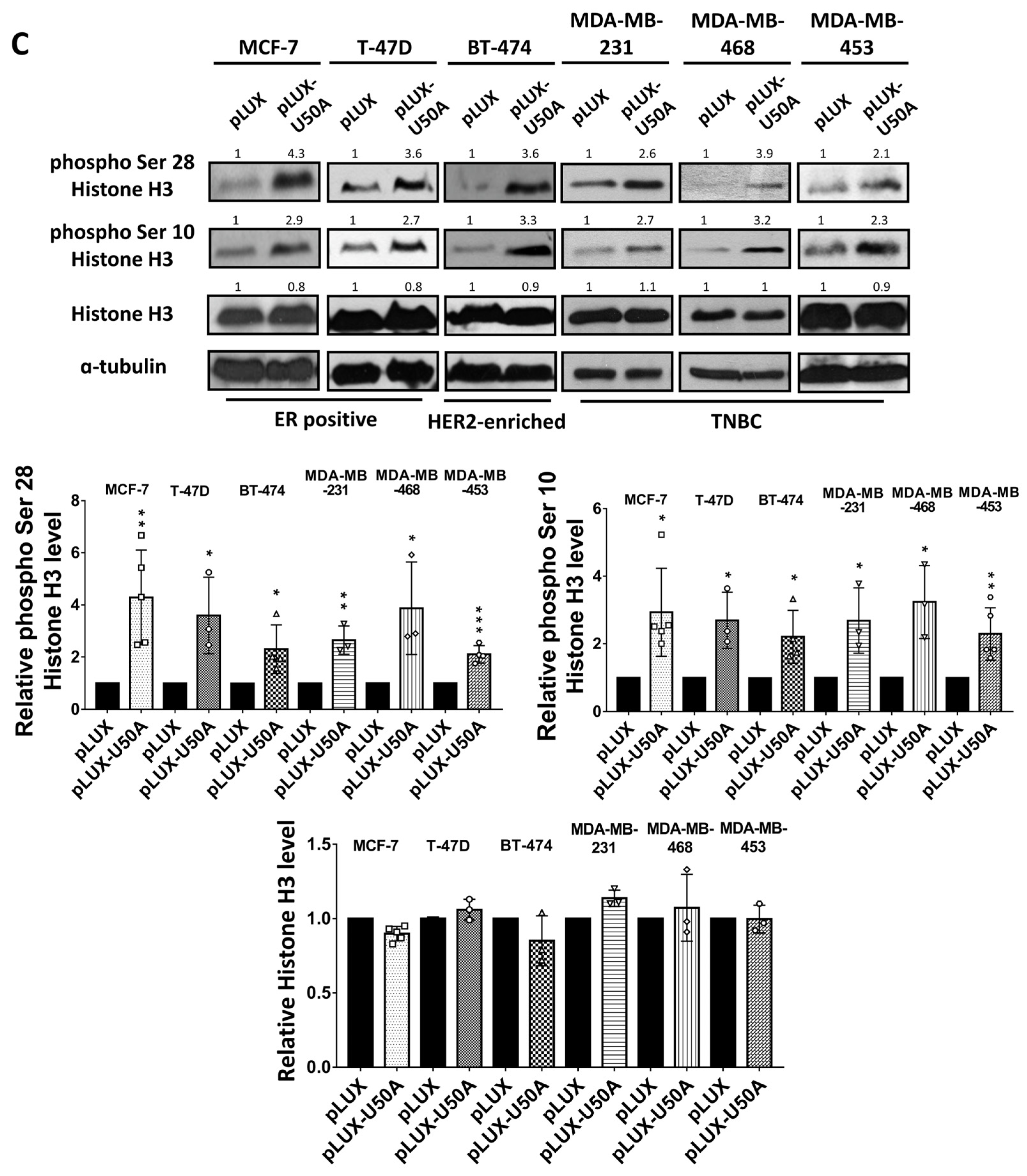 Cancers 13 06304 g003b 550