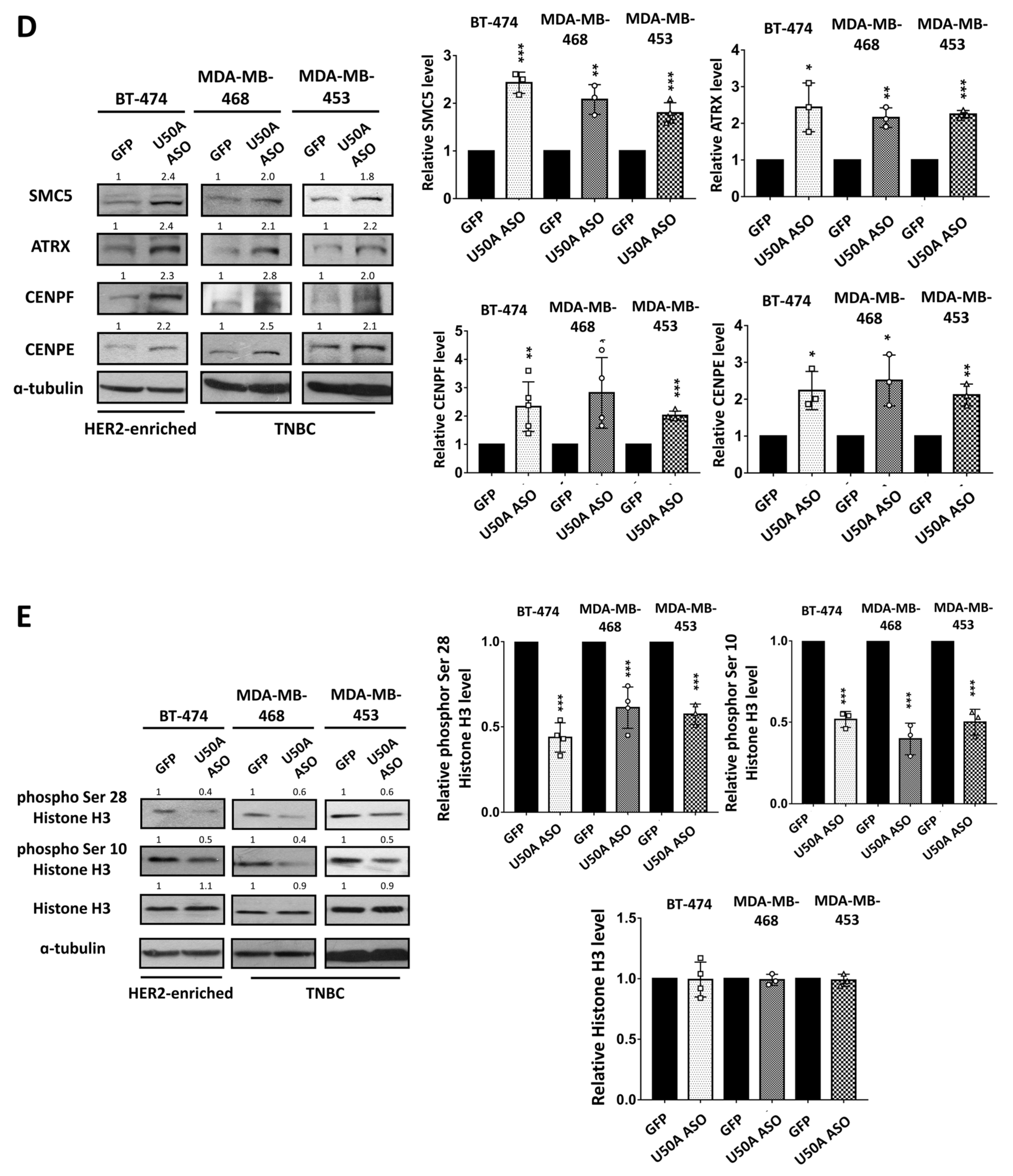 Cancers 13 06304 g003c 550