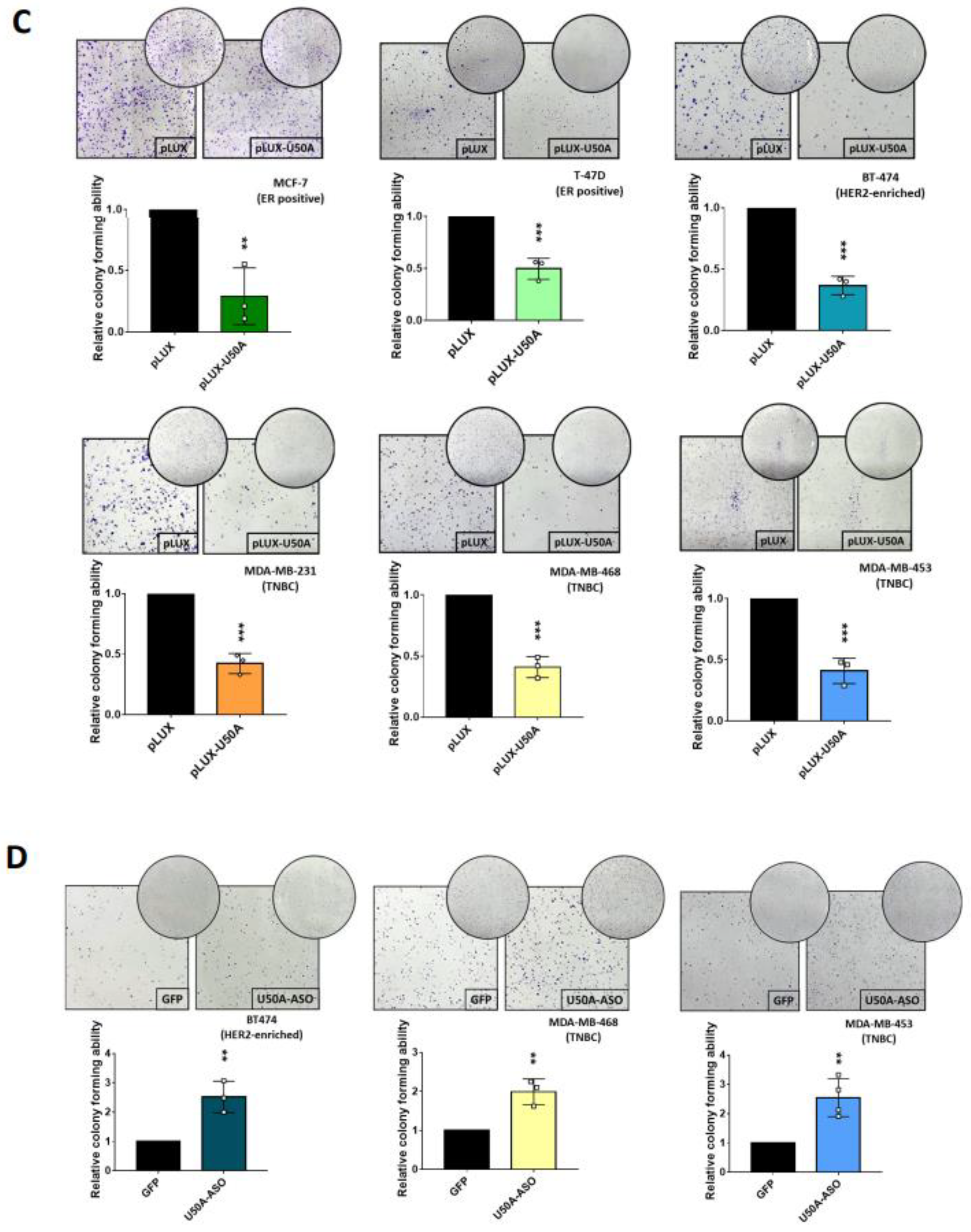 Cancers 13 06304 g004b 550