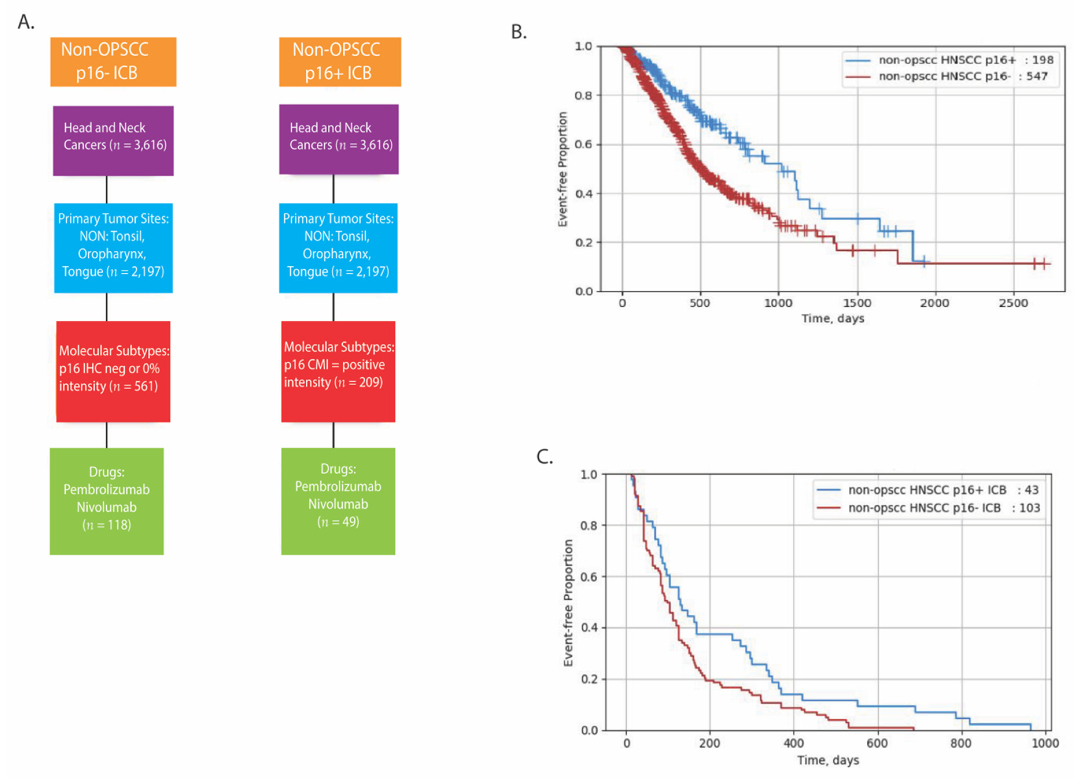 Cancers 13 06309 g006