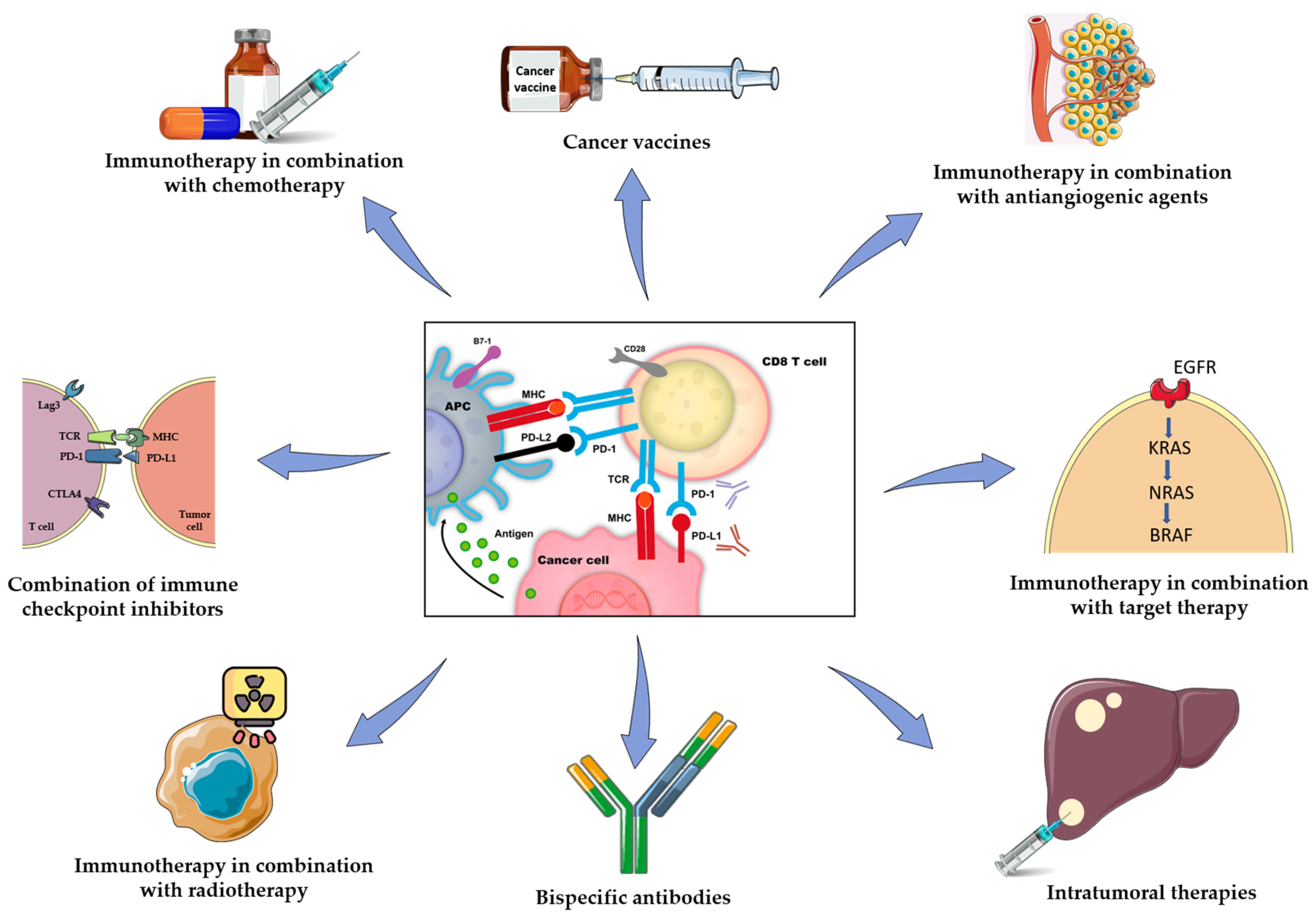 Cancers 13 06311 g001 Cancers 13 06311 g001