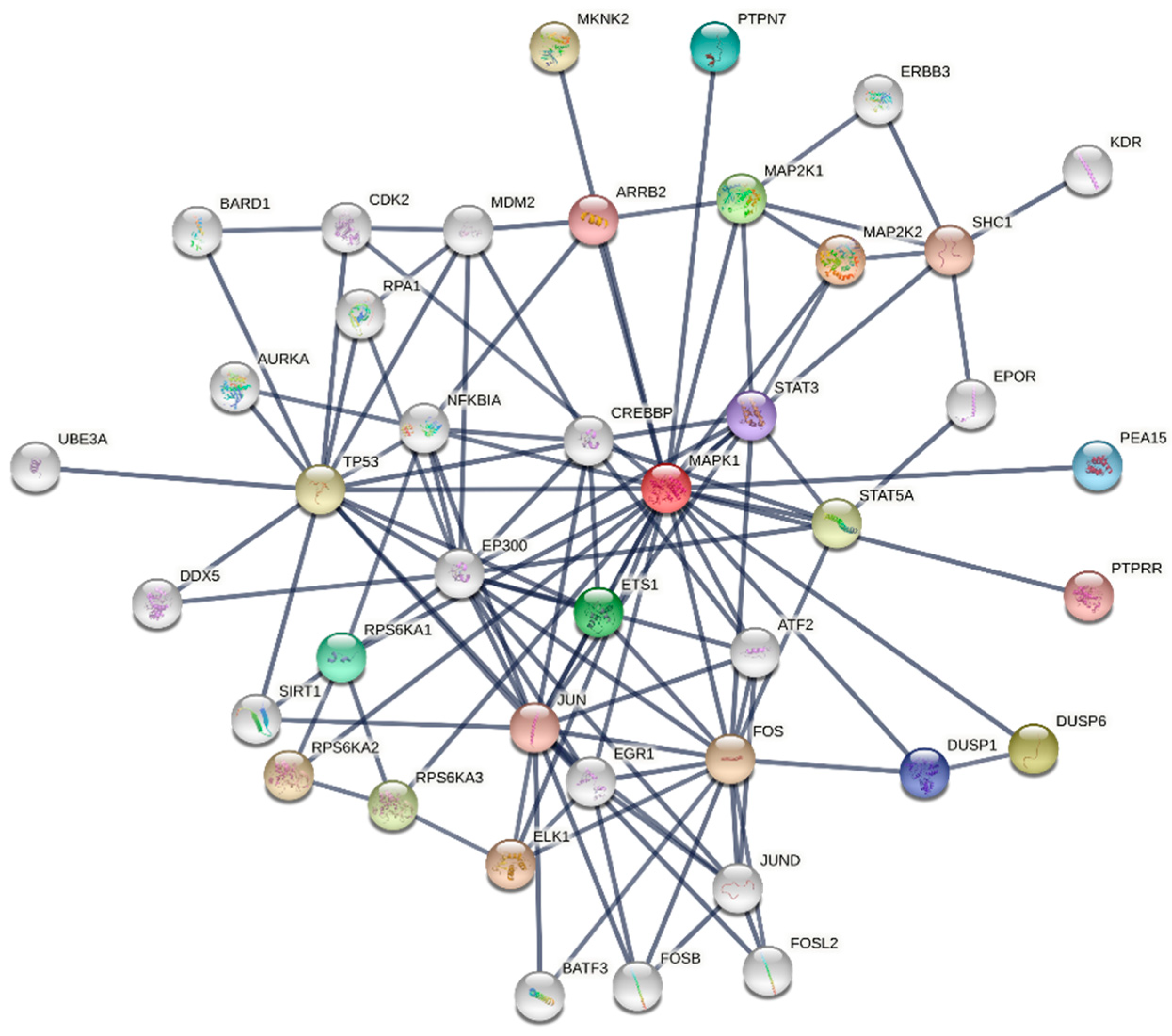 Cancers 13 06312 g001