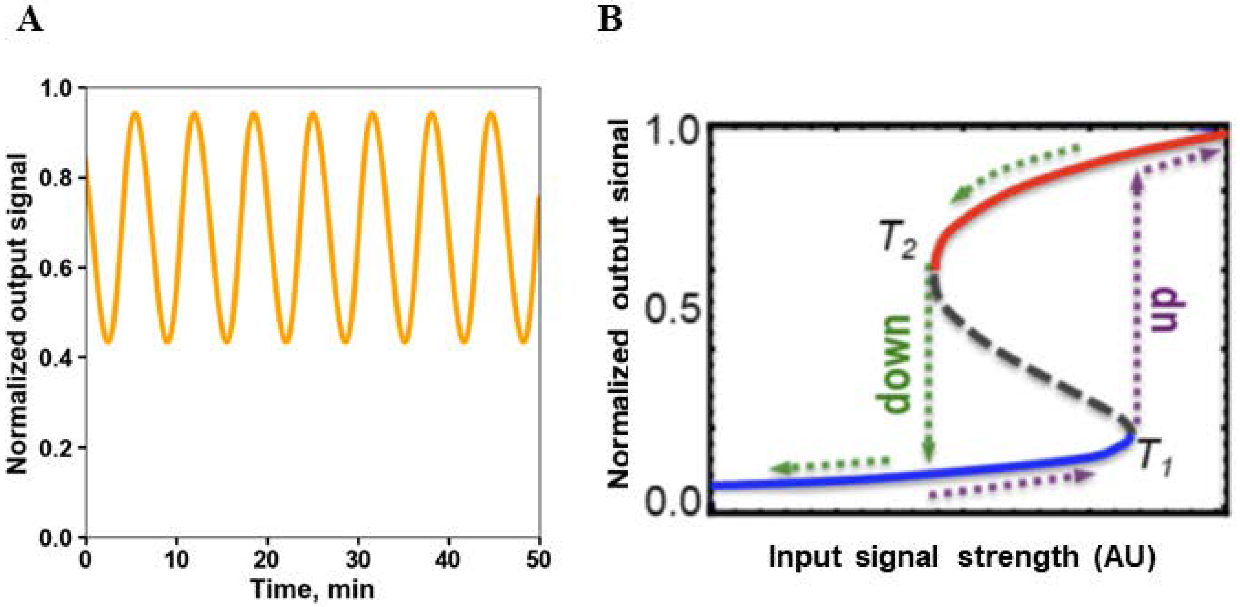 Cancers 13 06312 g003