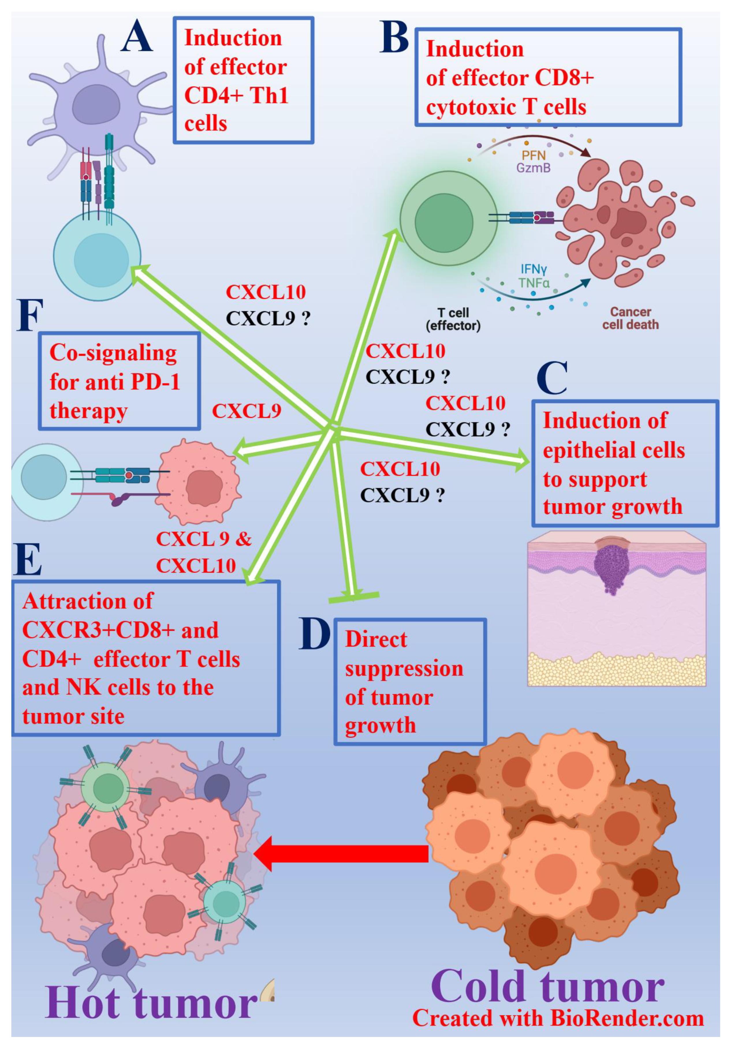 Cancers 13 06317 g001