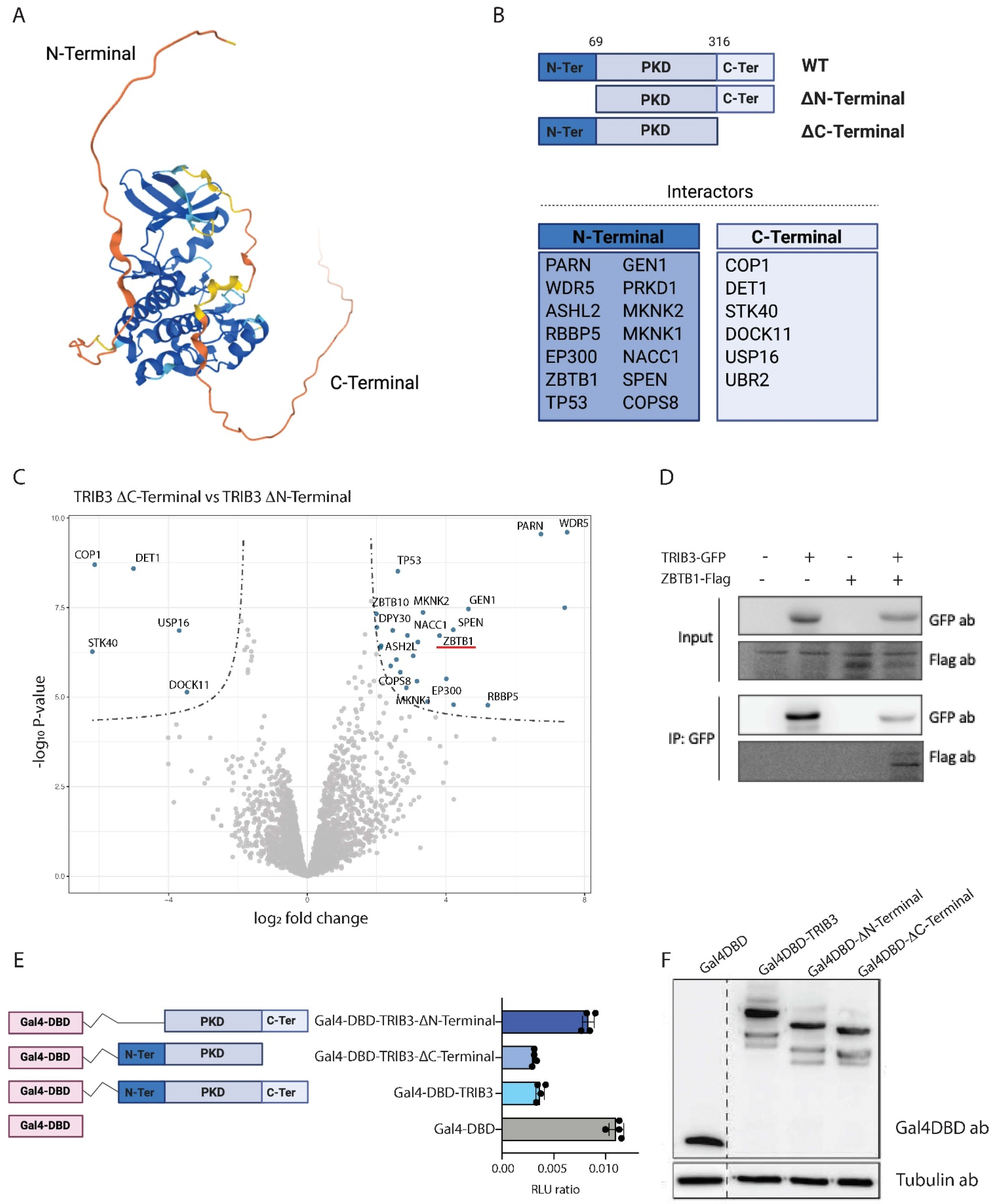 Cancers 13 06318 g002 Cancers 13 06318 g002