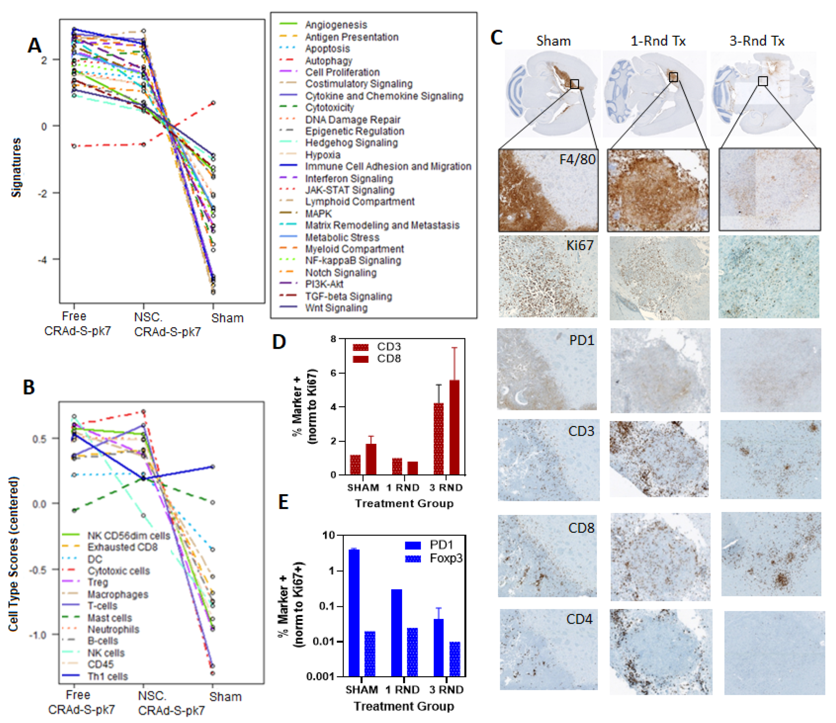 Cancers 13 06320 g004