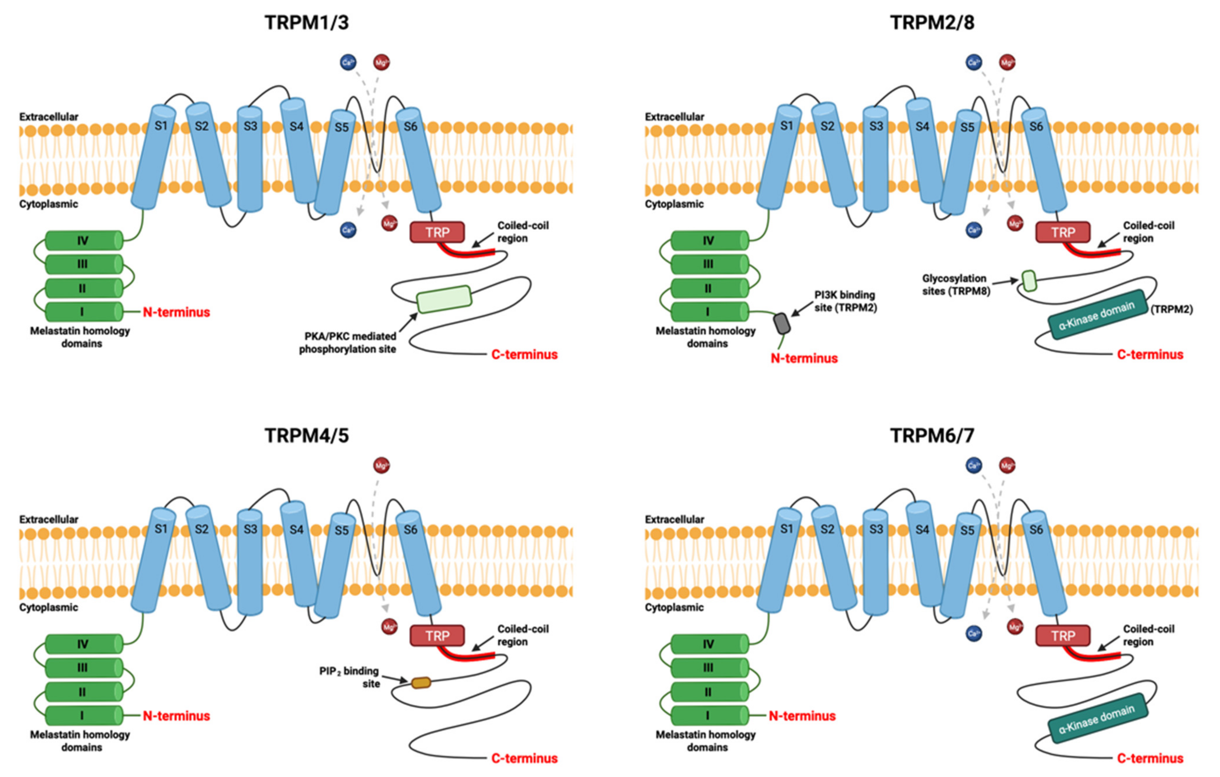 Cancers 13 06322 g001