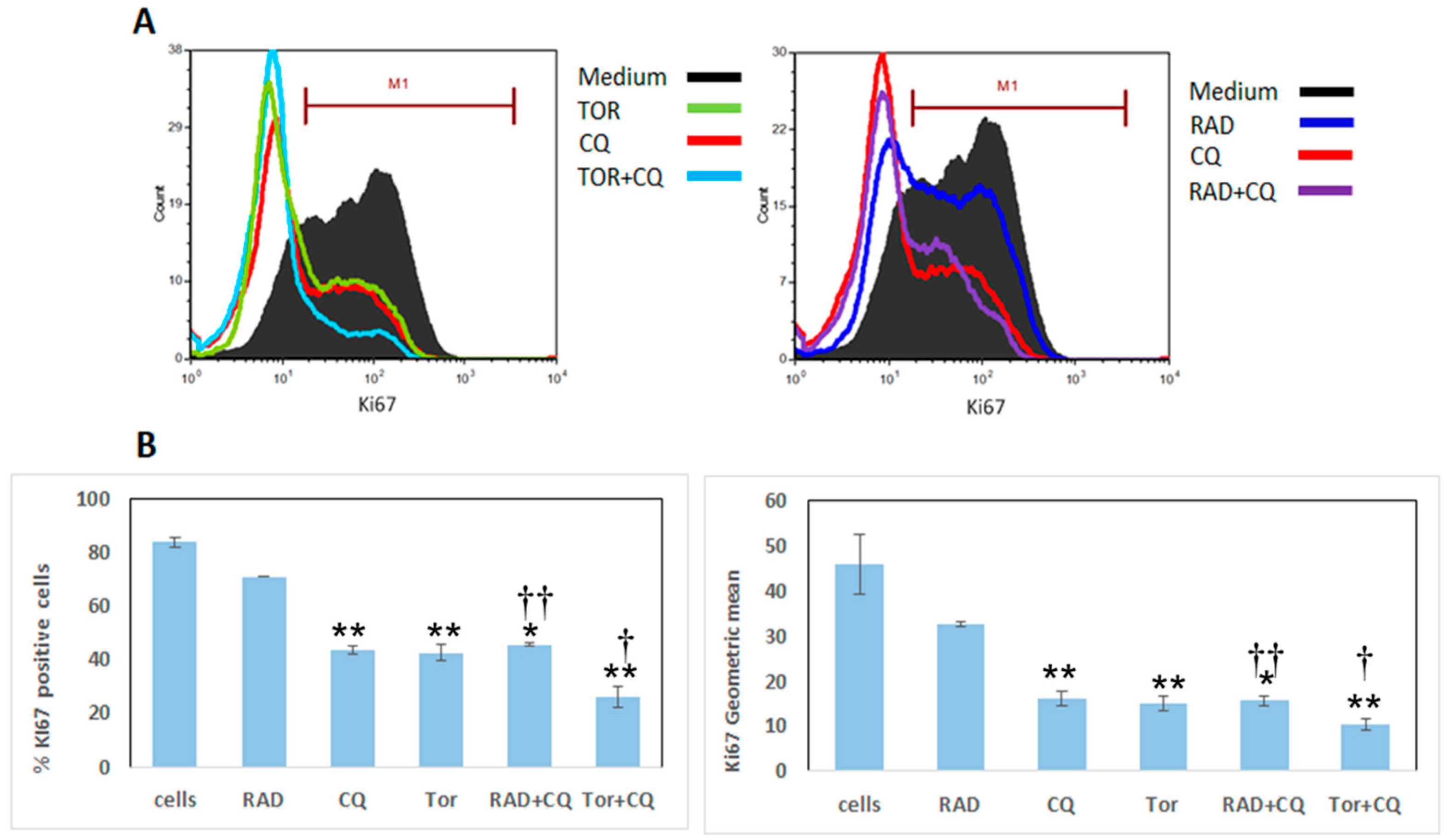 Cancers 13 06327 g002 Cancers 13 06327 g002