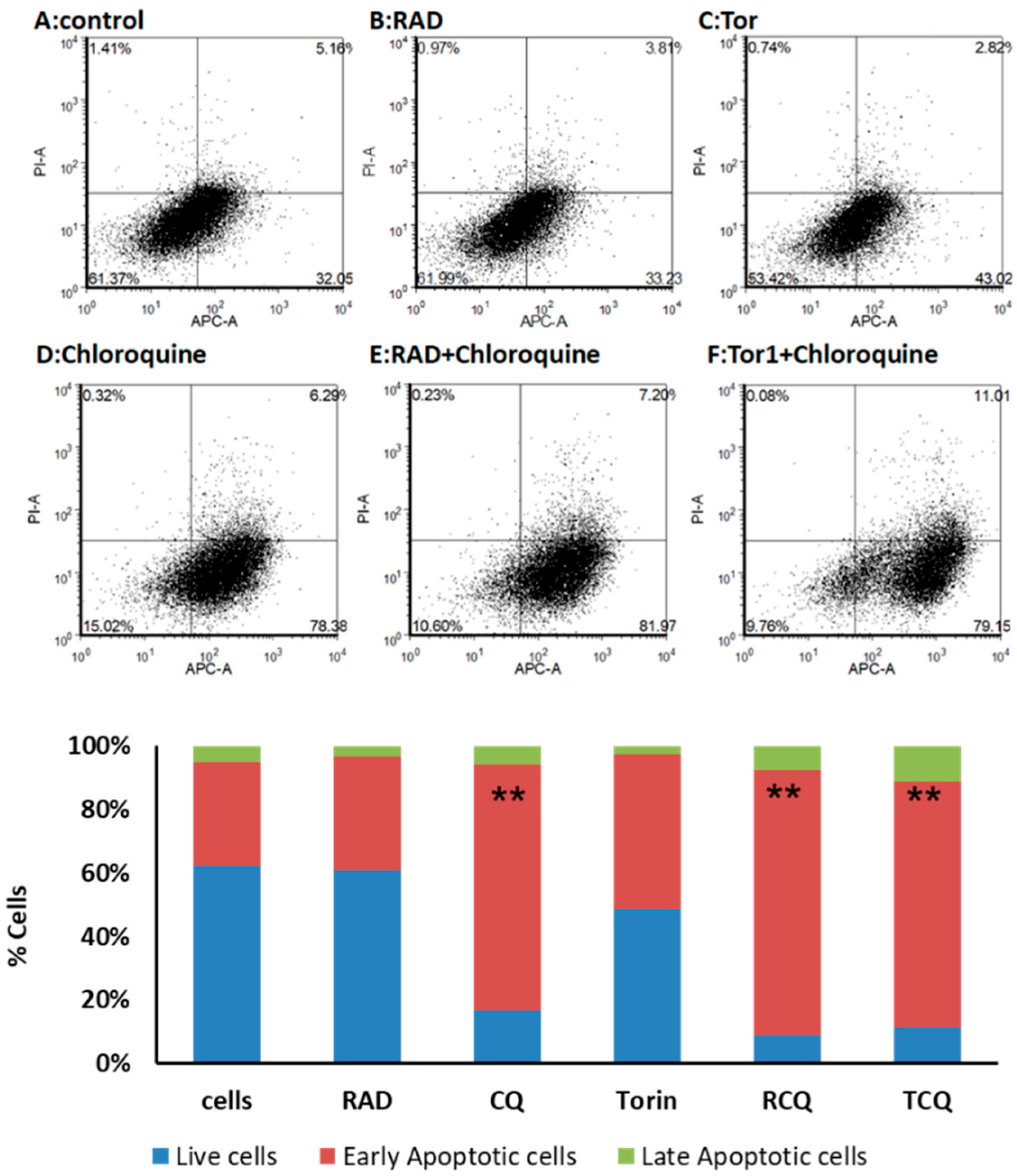 Cancers 13 06327 g005 Cancers 13 06327 g005