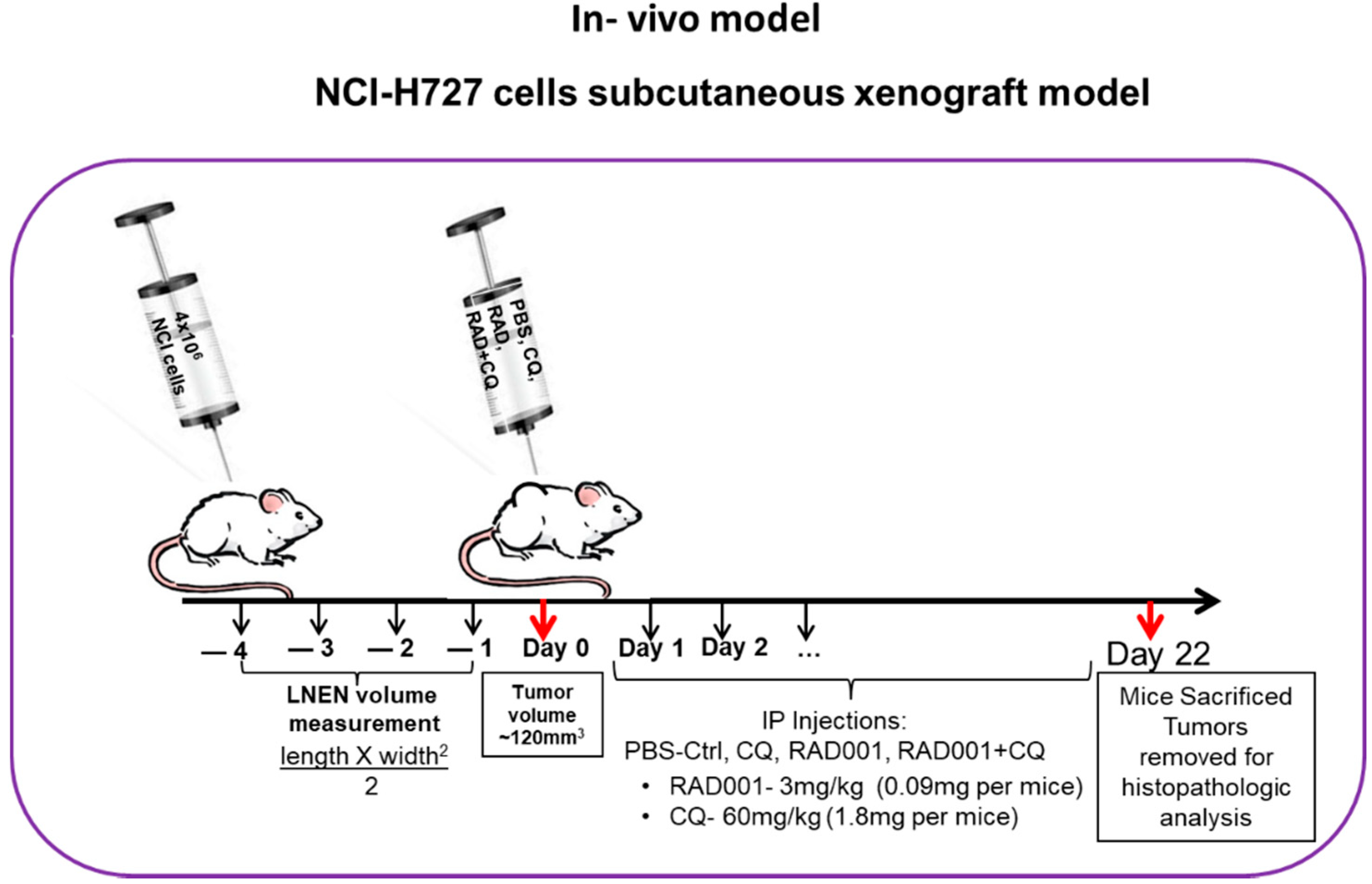 Cancers 13 06327 g007 Cancers 13 06327 g007