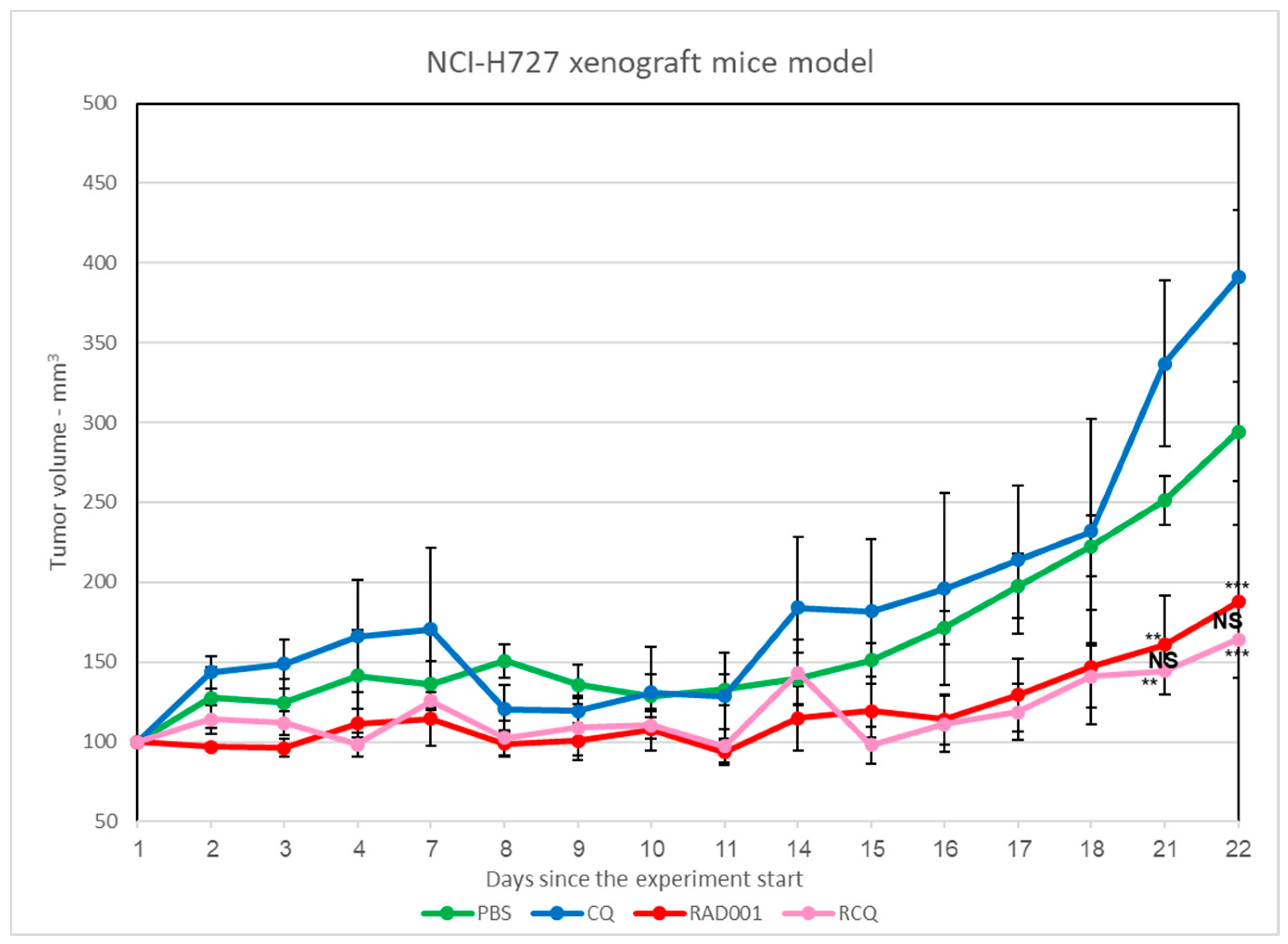 Cancers 13 06327 g008 Cancers 13 06327 g008