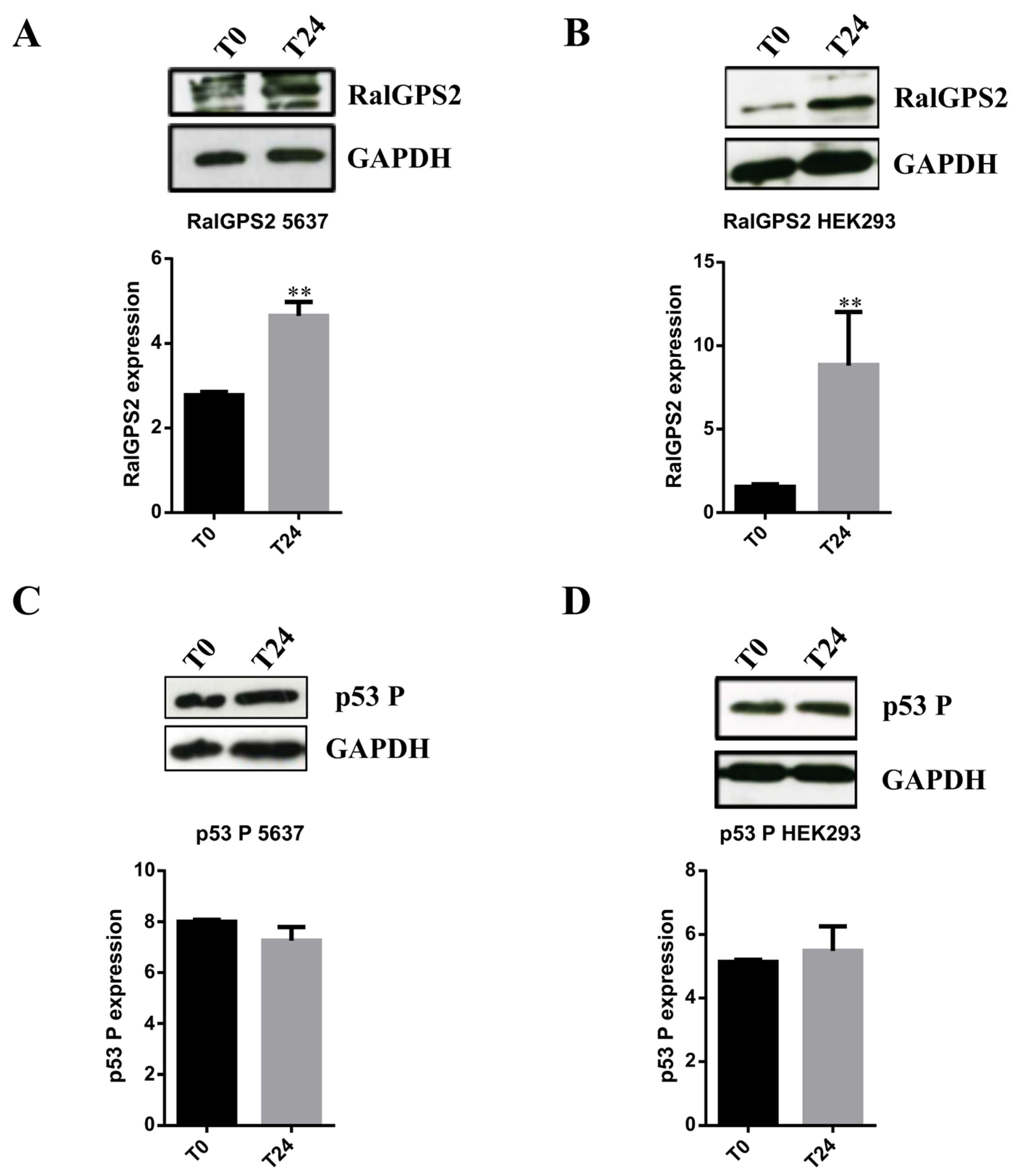 Cancers 13 06330 g009 Cancers 13 06330 g009