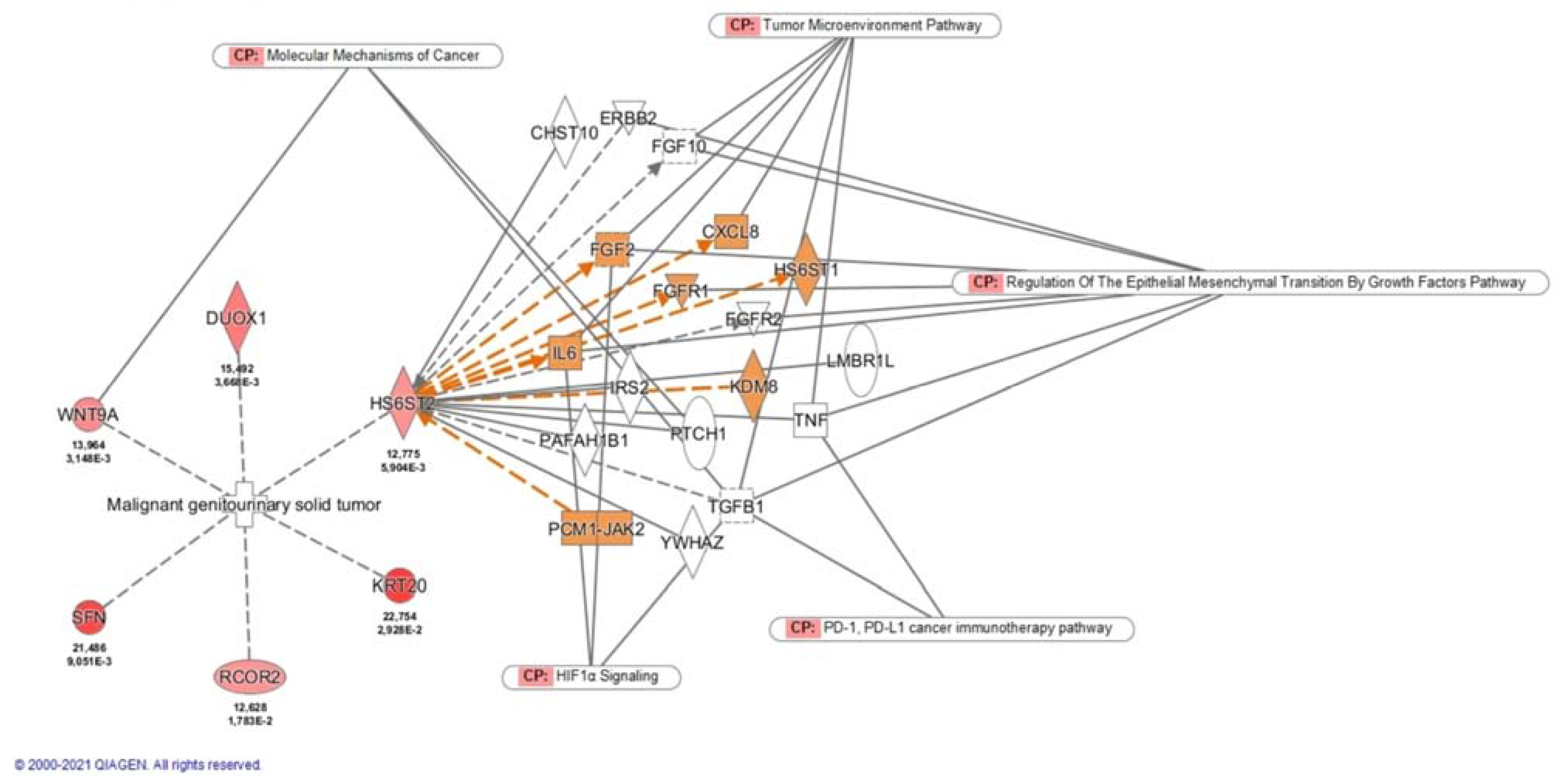 Cancers 13 06338 g002
