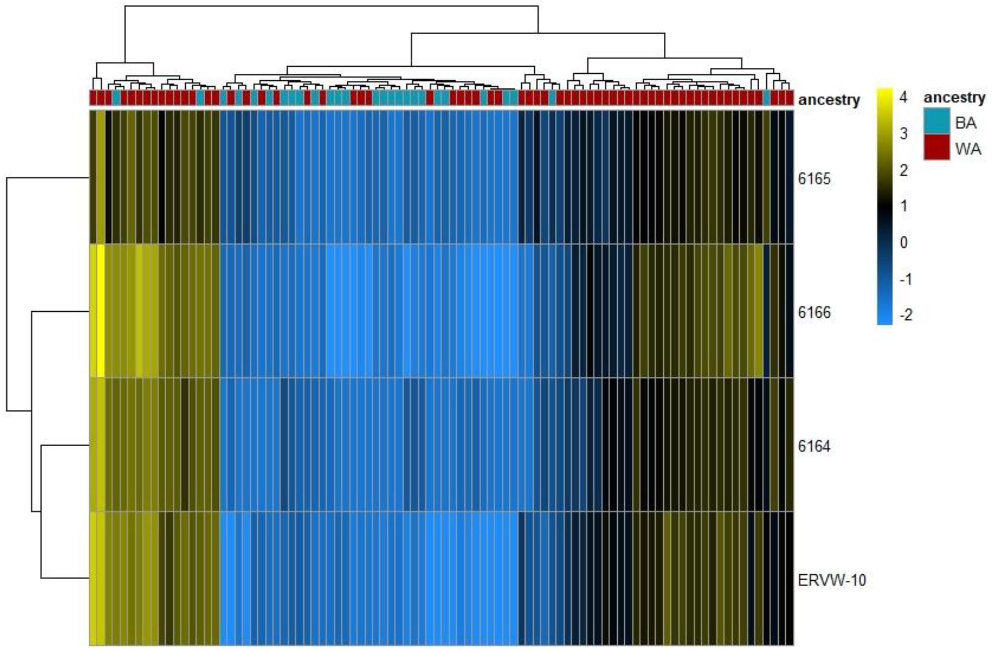 Cancers 13 06347 g001