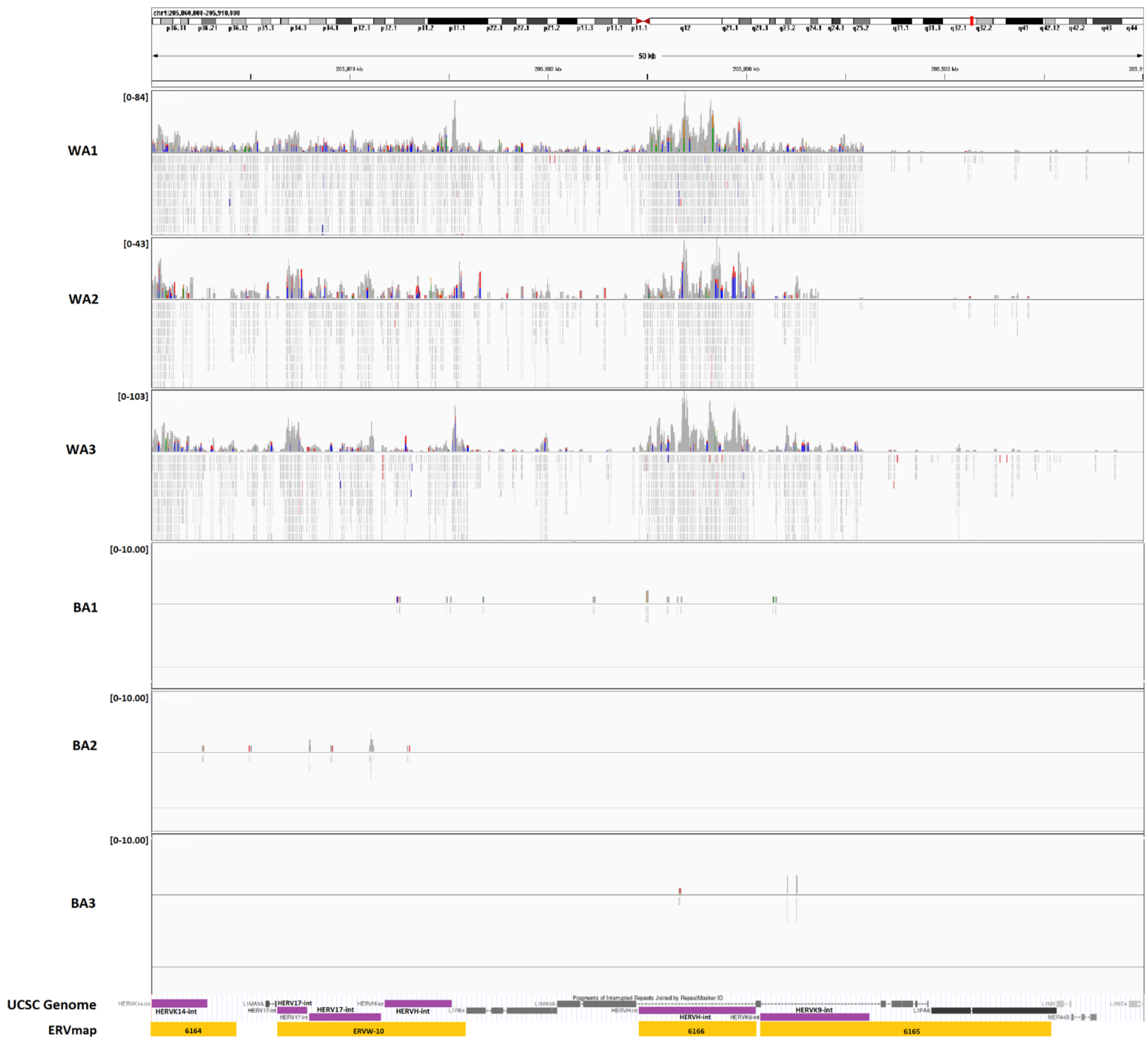 Cancers 13 06347 g002