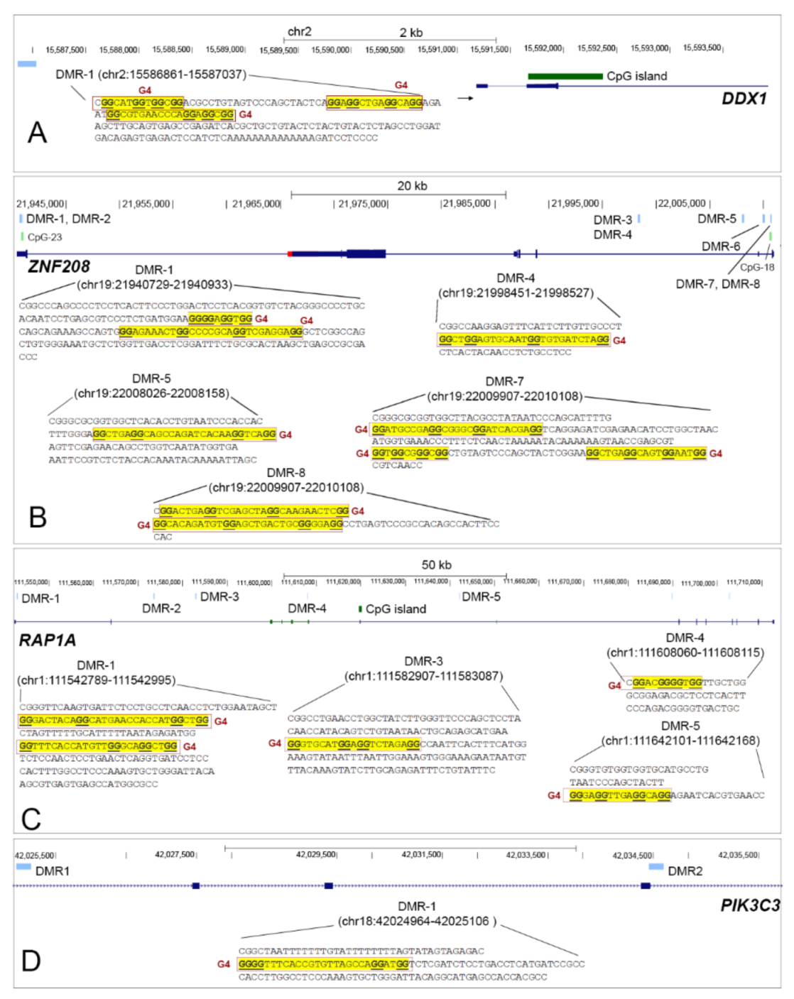 Cancers 13 06348 g006