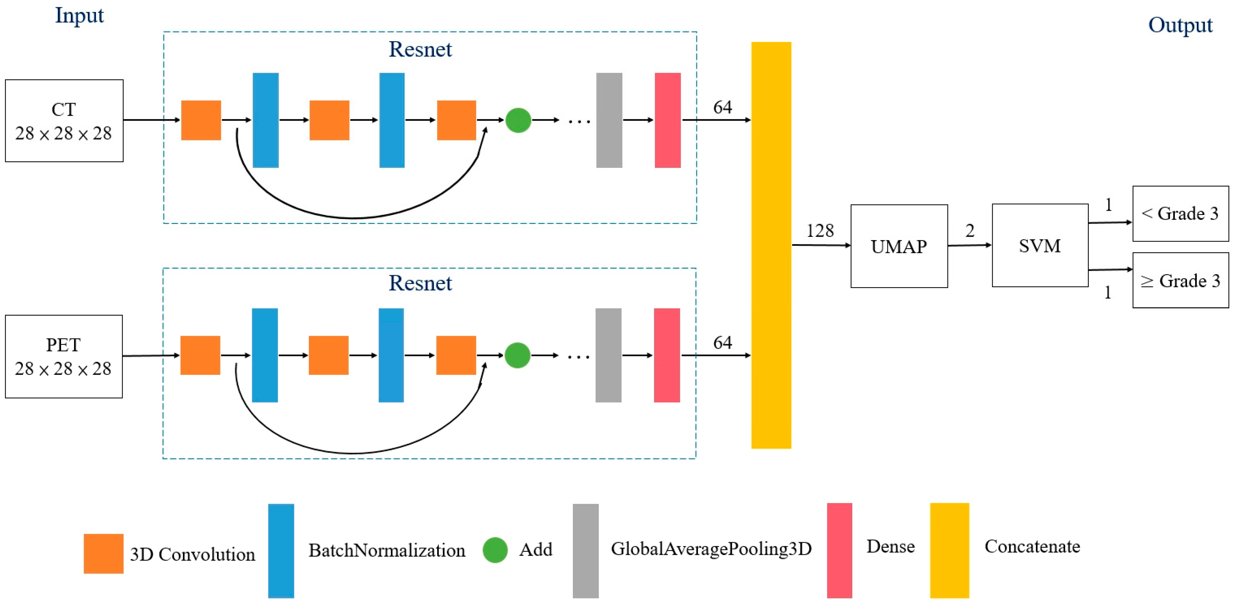 Cancers 13 06350 g001