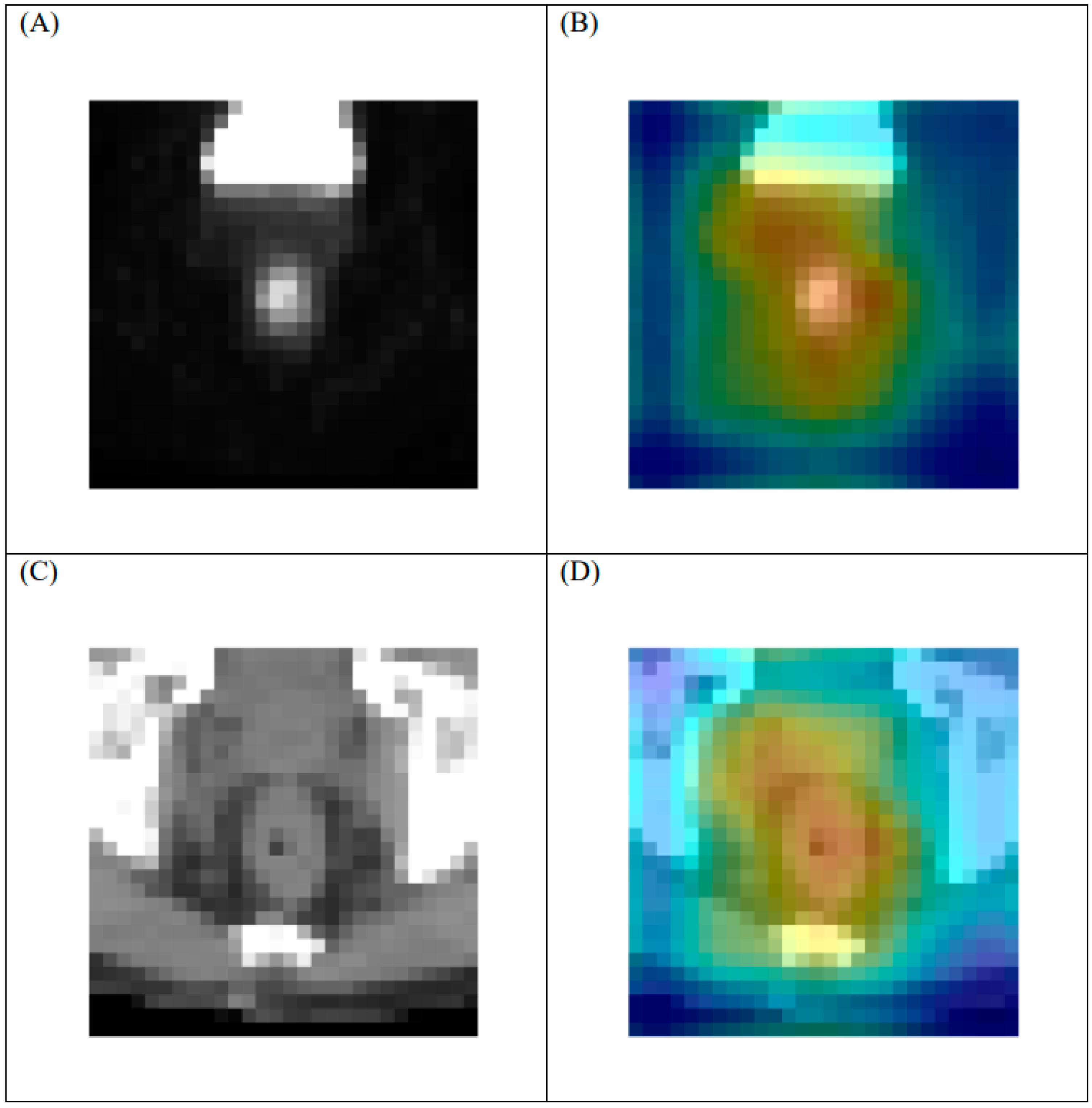 Cancers 13 06350 g005