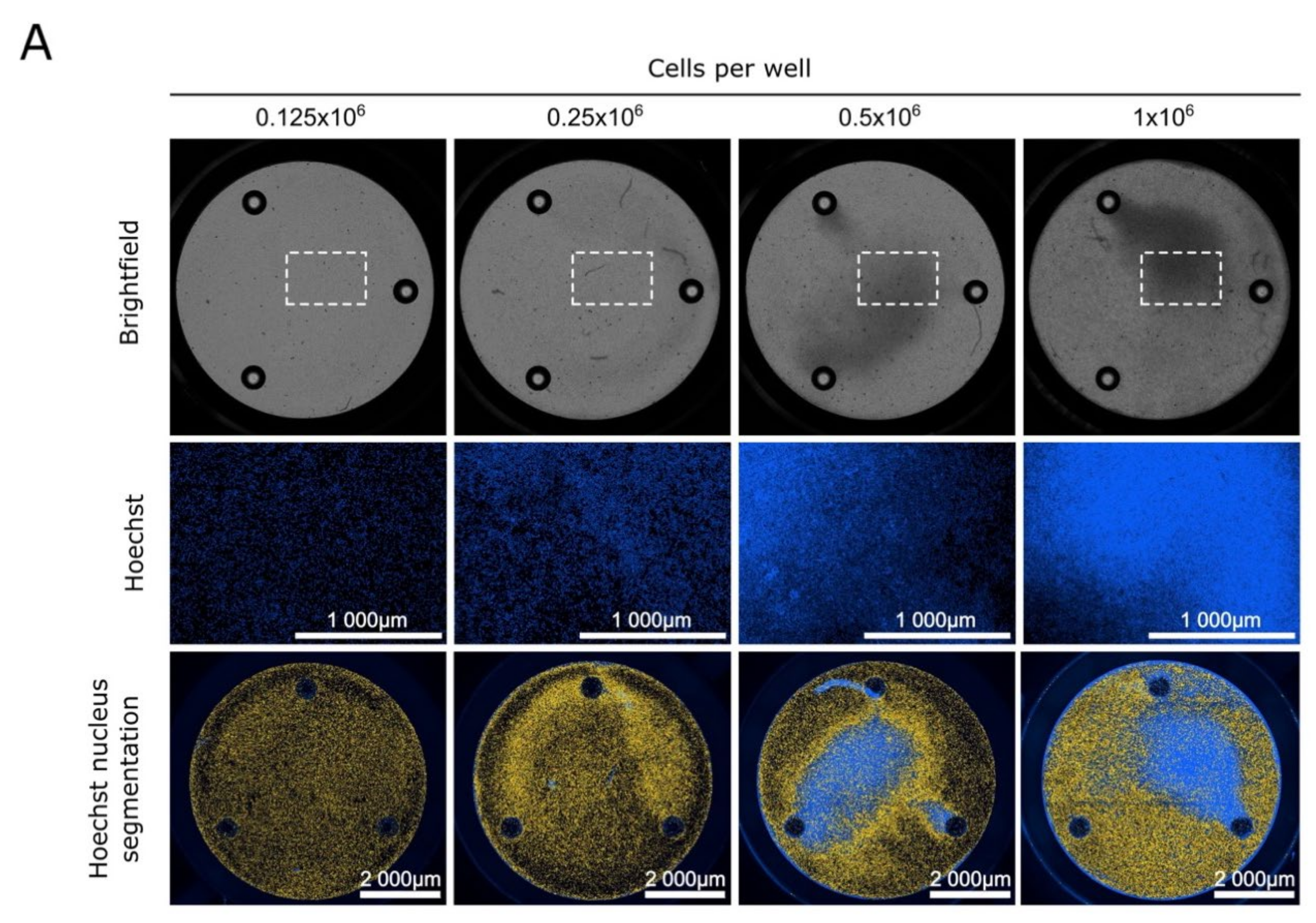 Cancers 13 06353 g001a