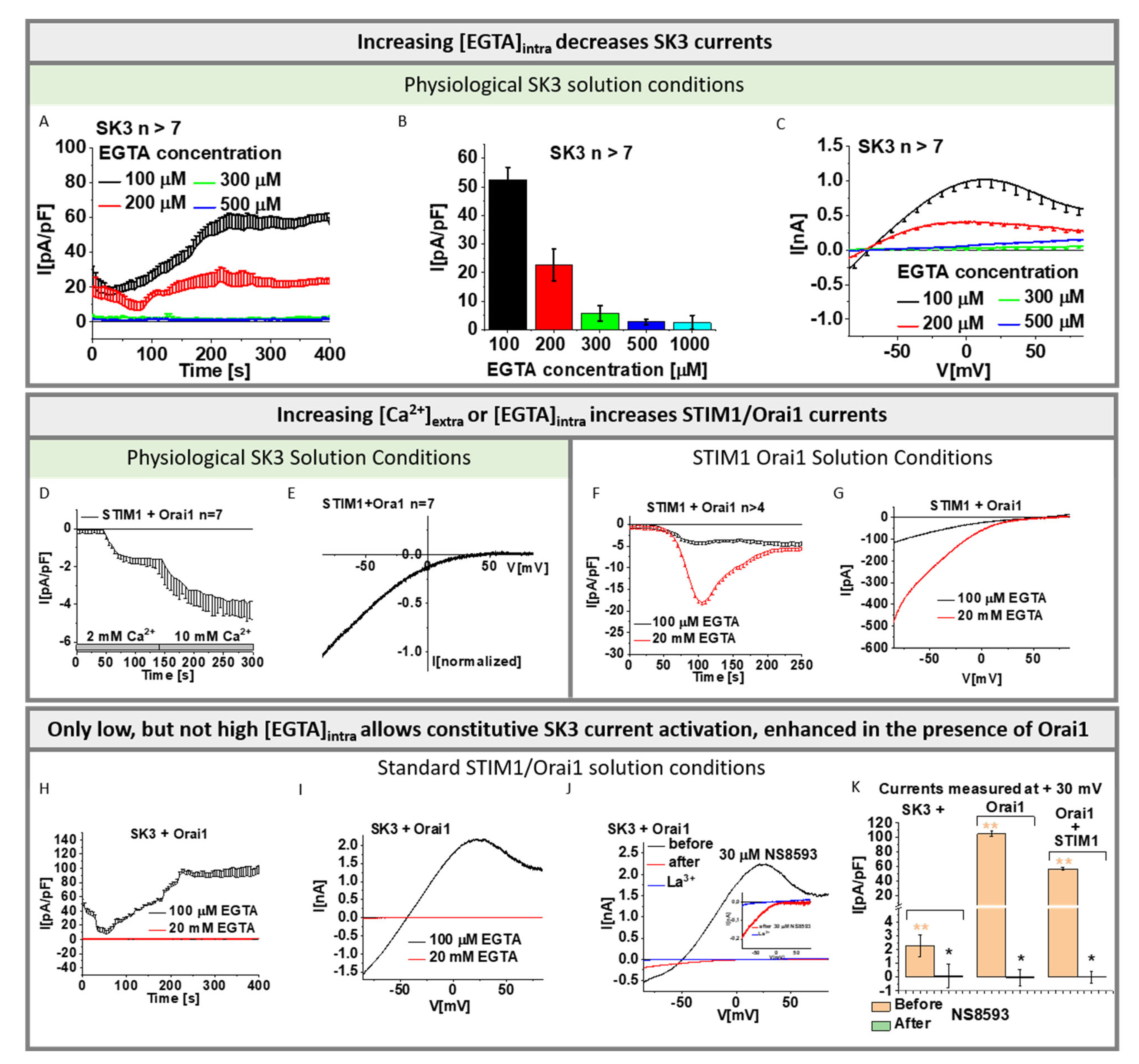 Cancers 13 06357 g001