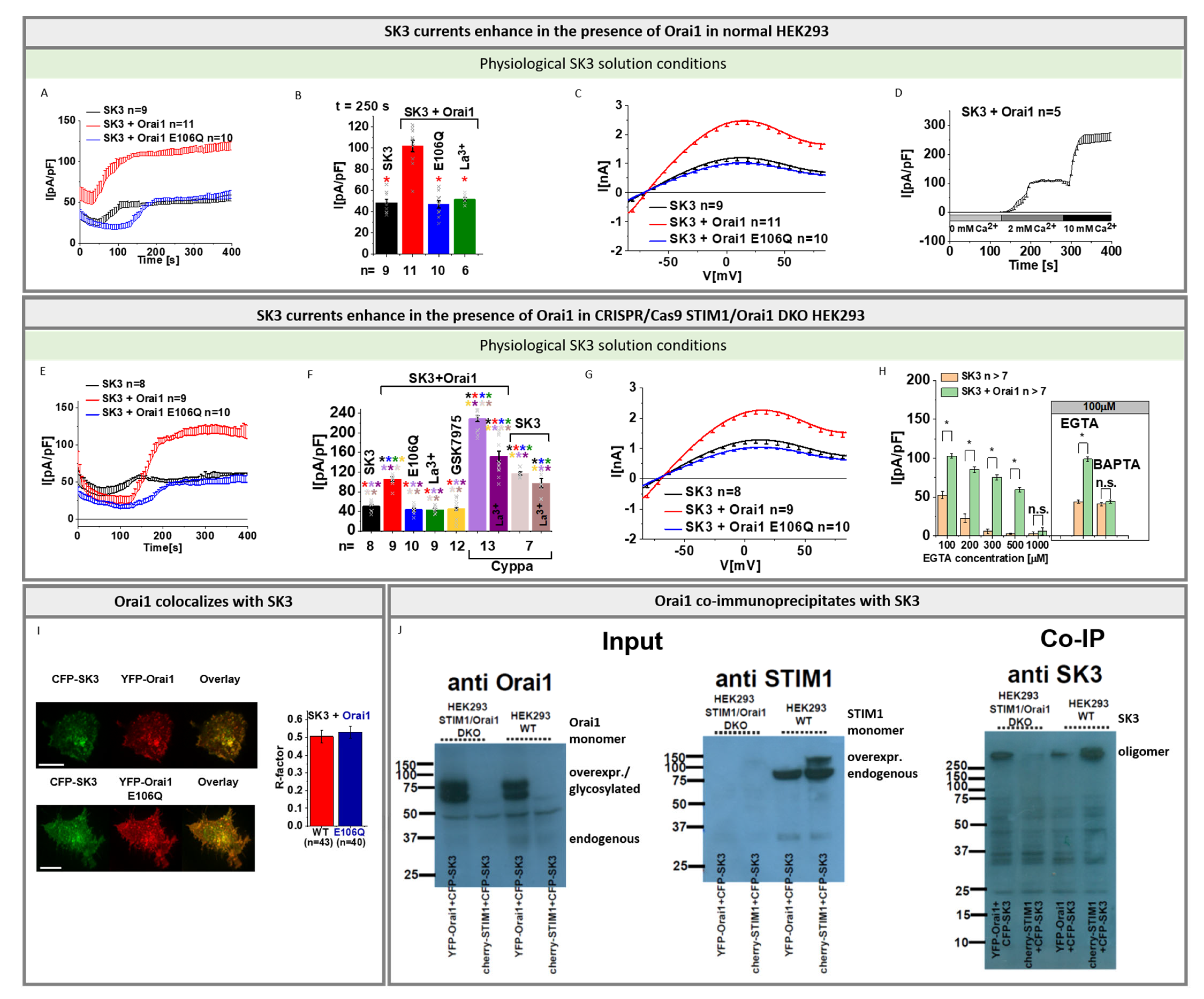 Cancers 13 06357 g002