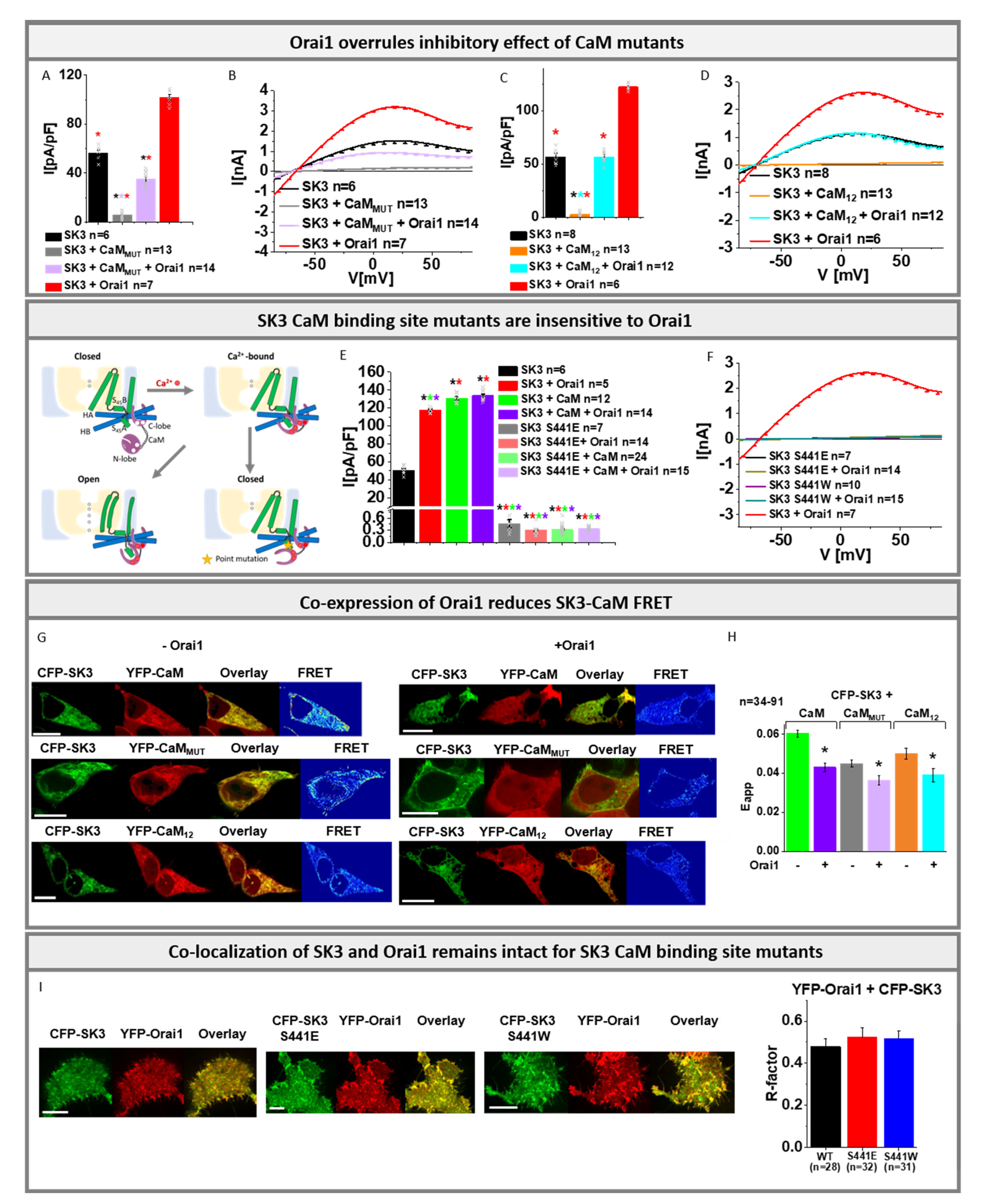 Cancers 13 06357 g003