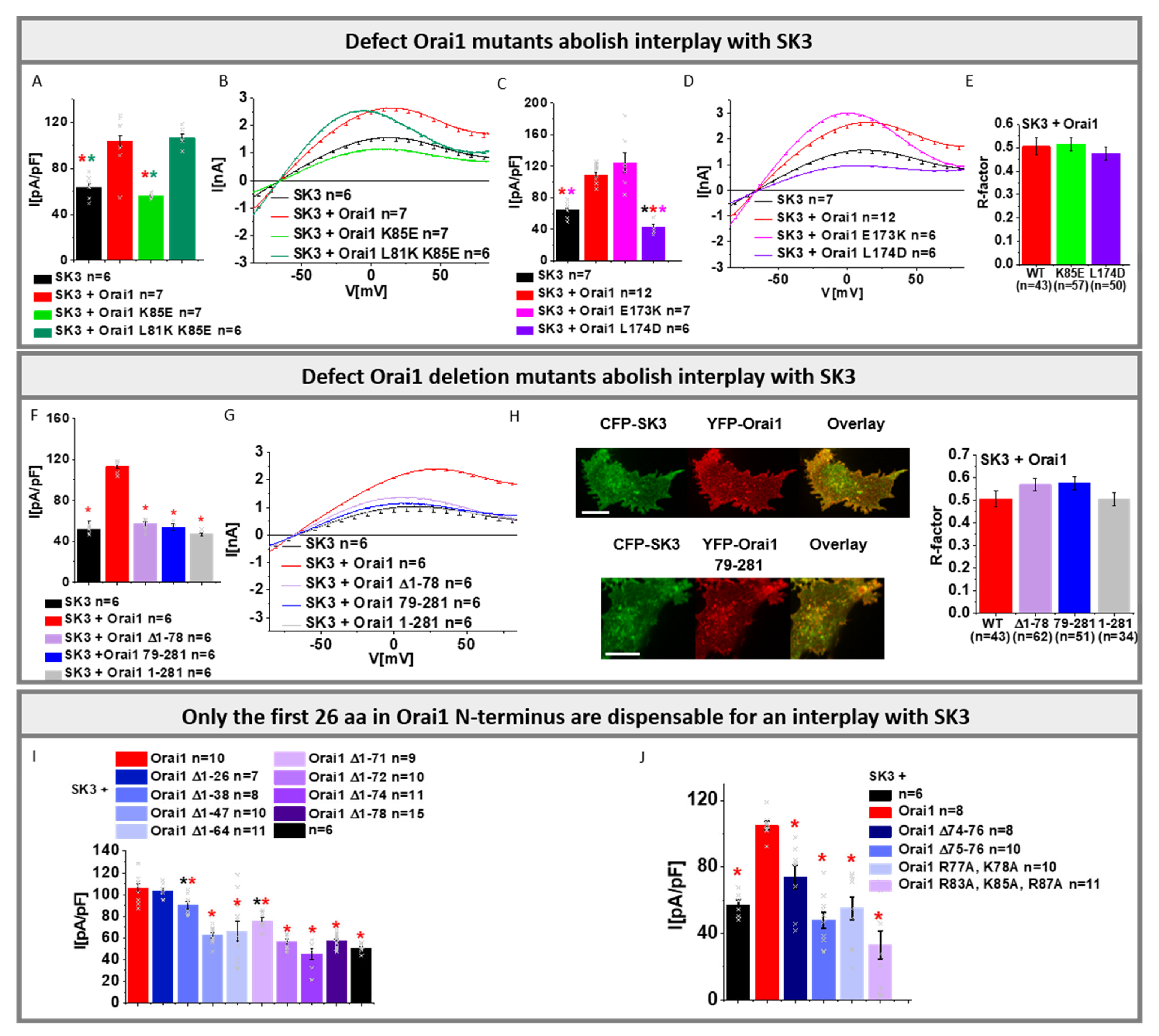 Cancers 13 06357 g004