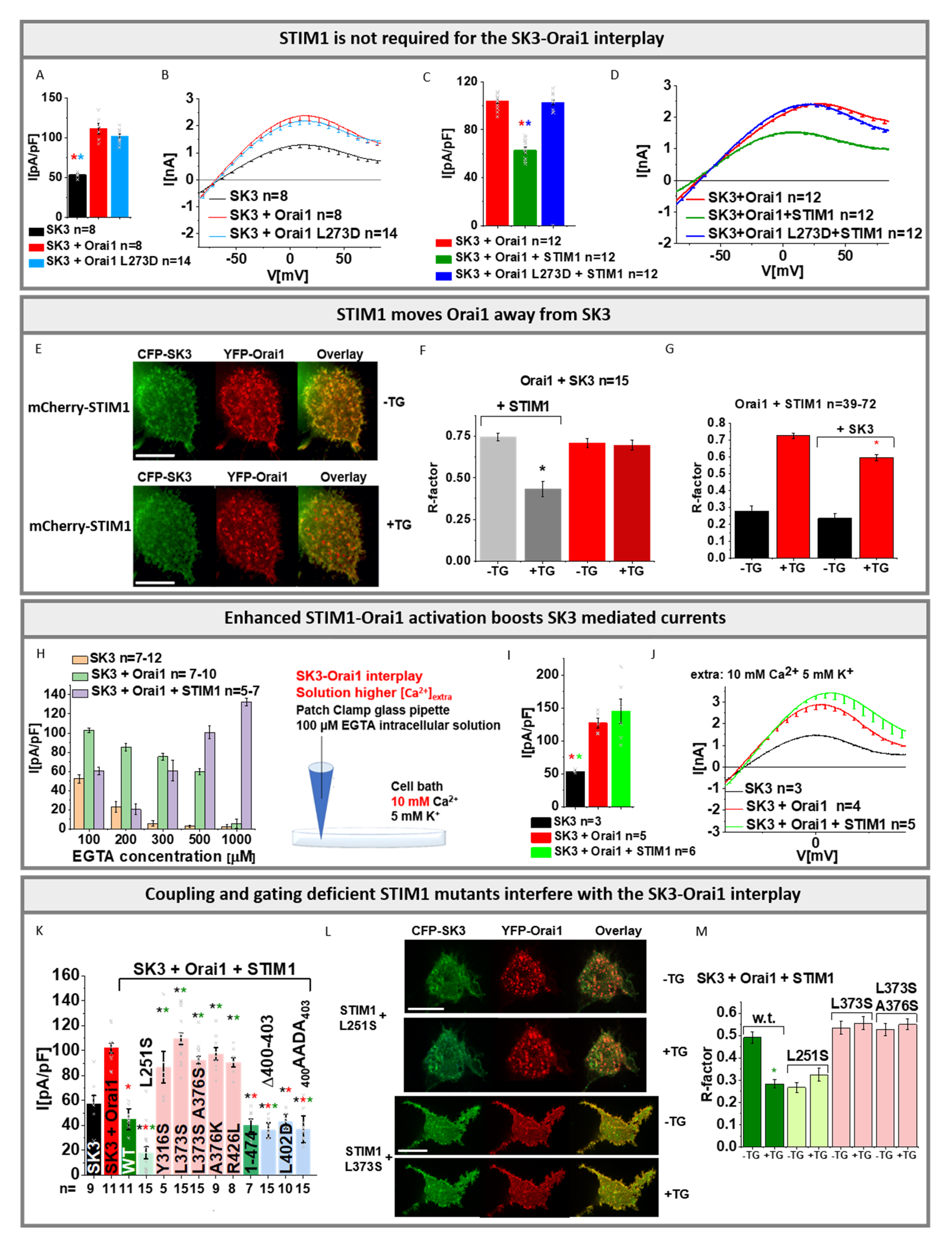 Cancers 13 06357 g005