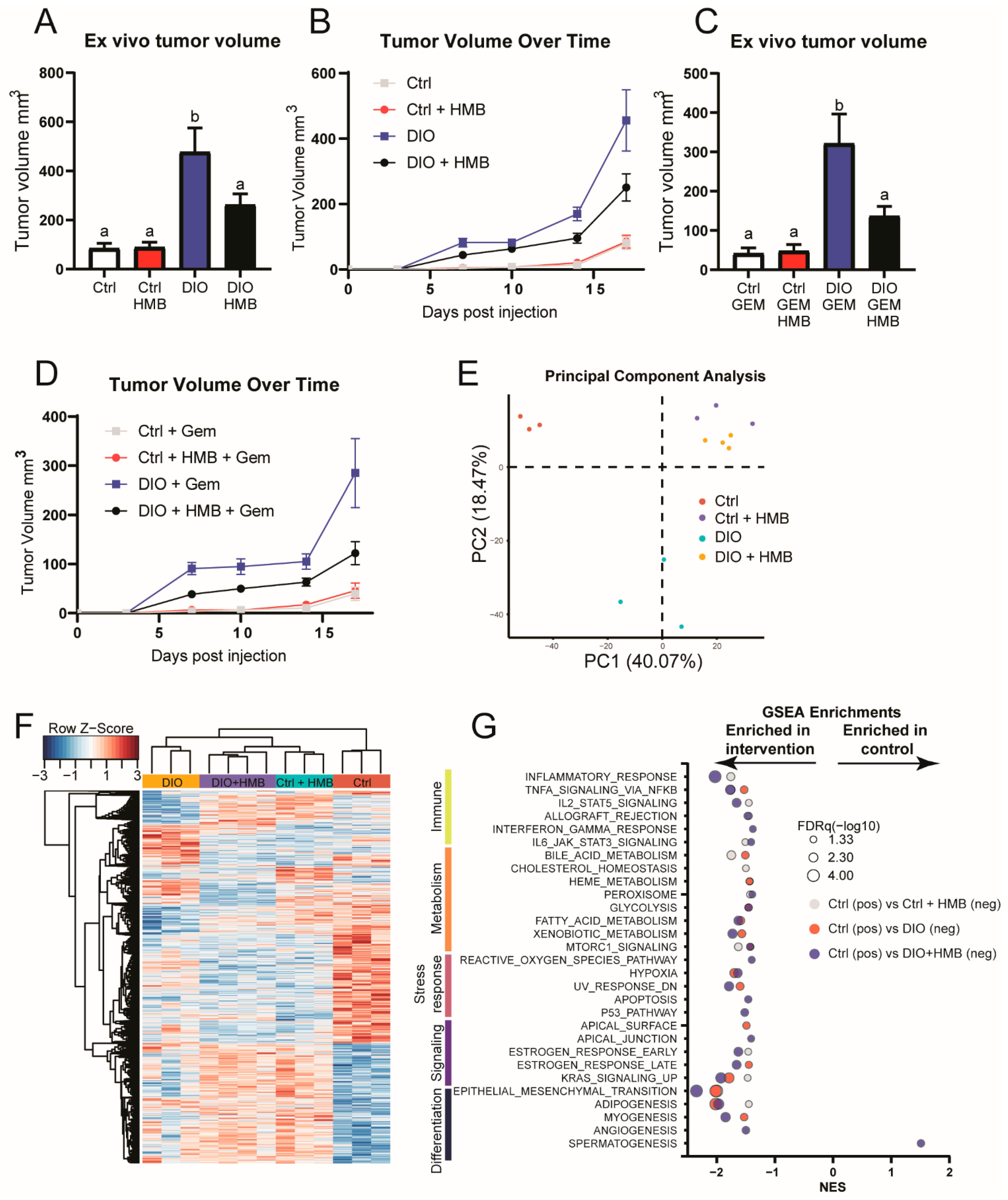 Cancers 13 06359 g001 550