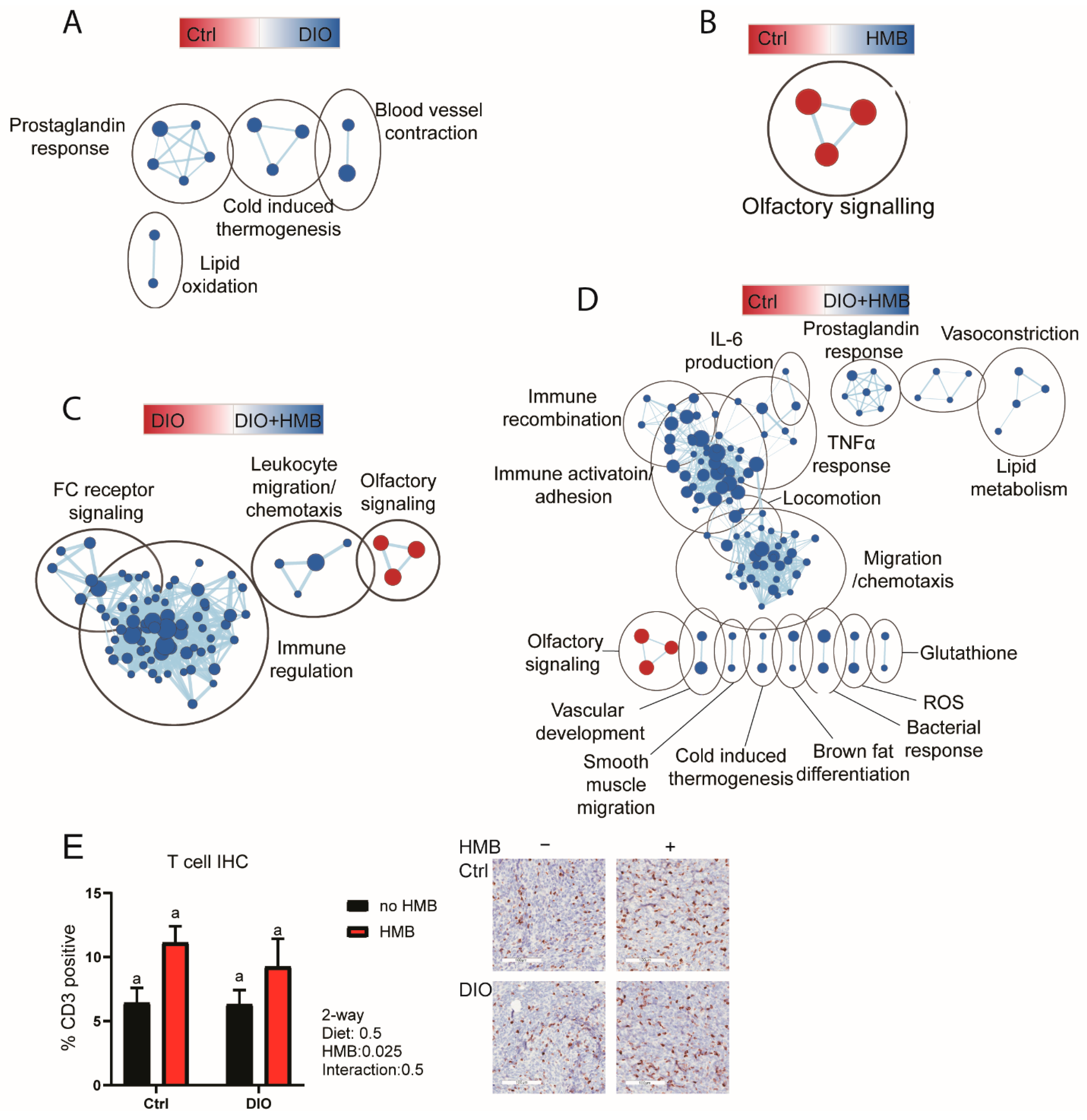 Cancers 13 06359 g002 550