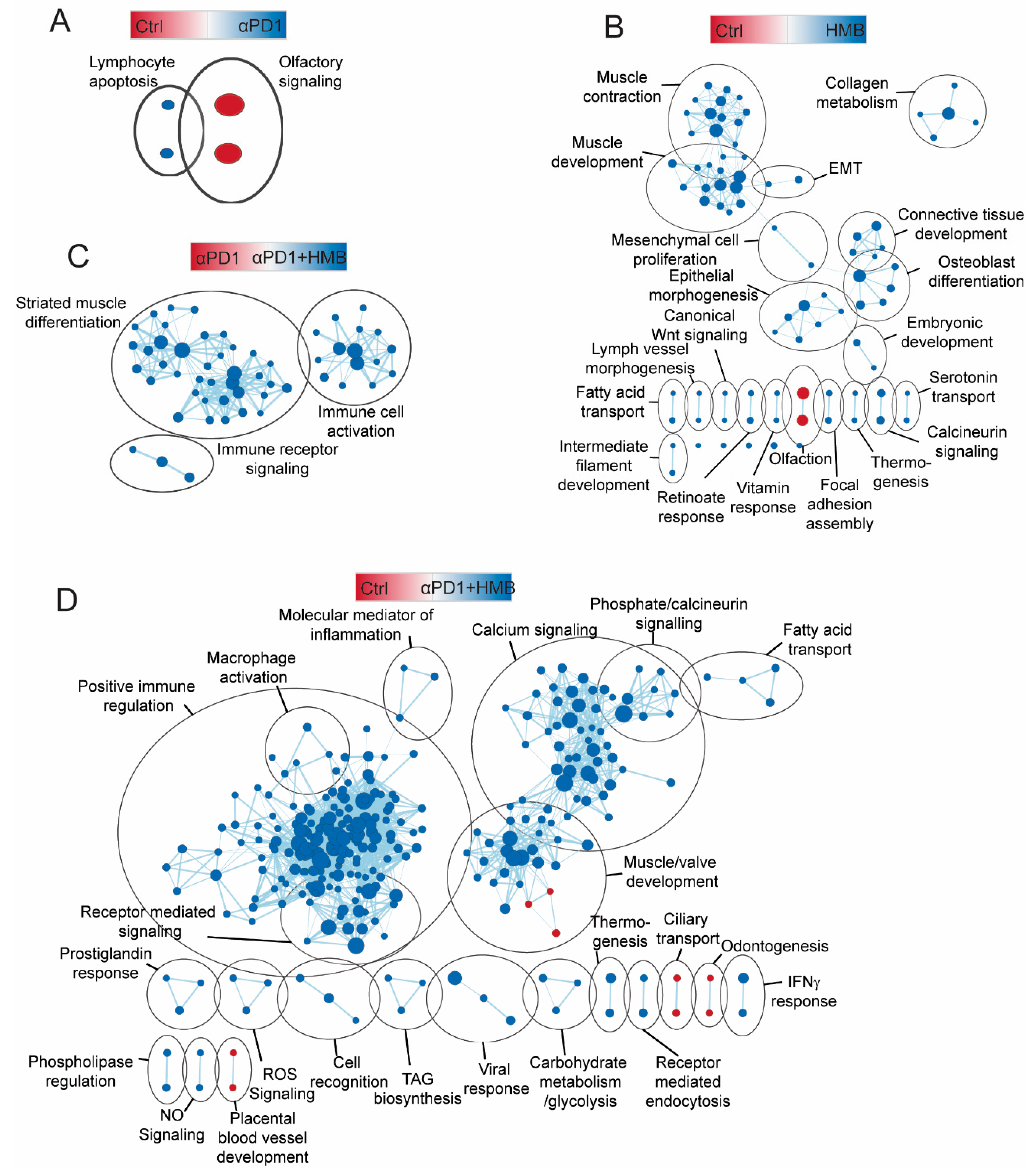 Cancers 13 06359 g004 550