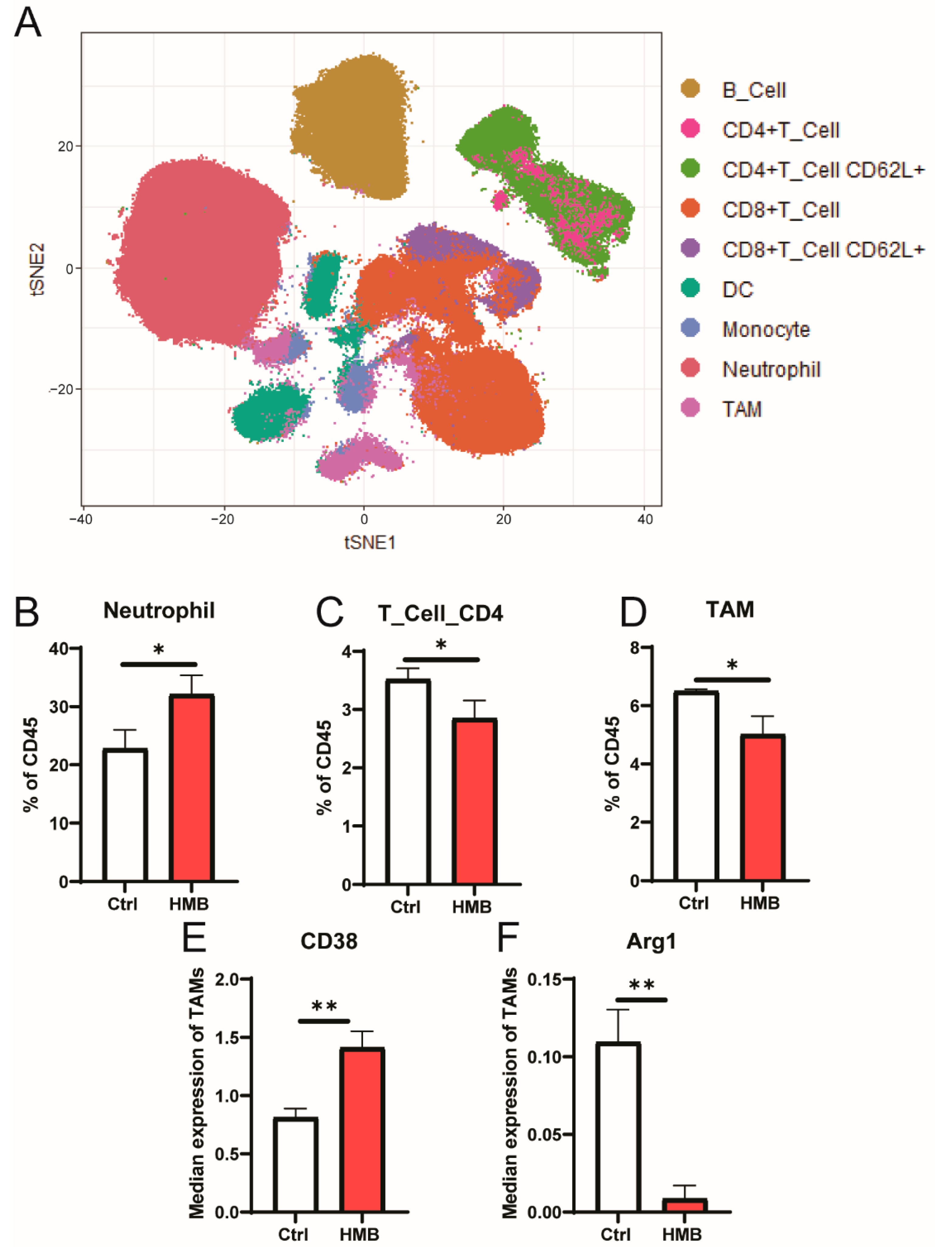 Cancers 13 06359 g005 550