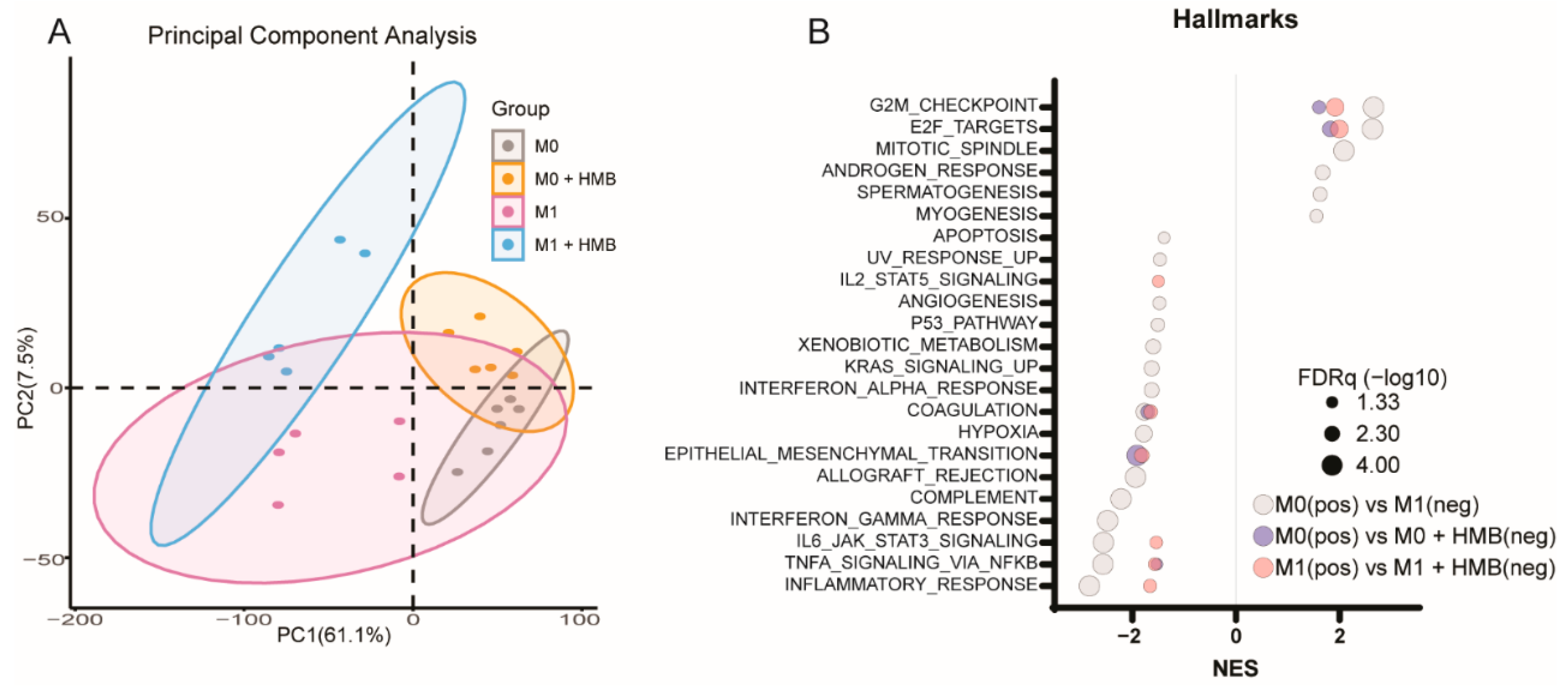 Cancers 13 06359 g006 550