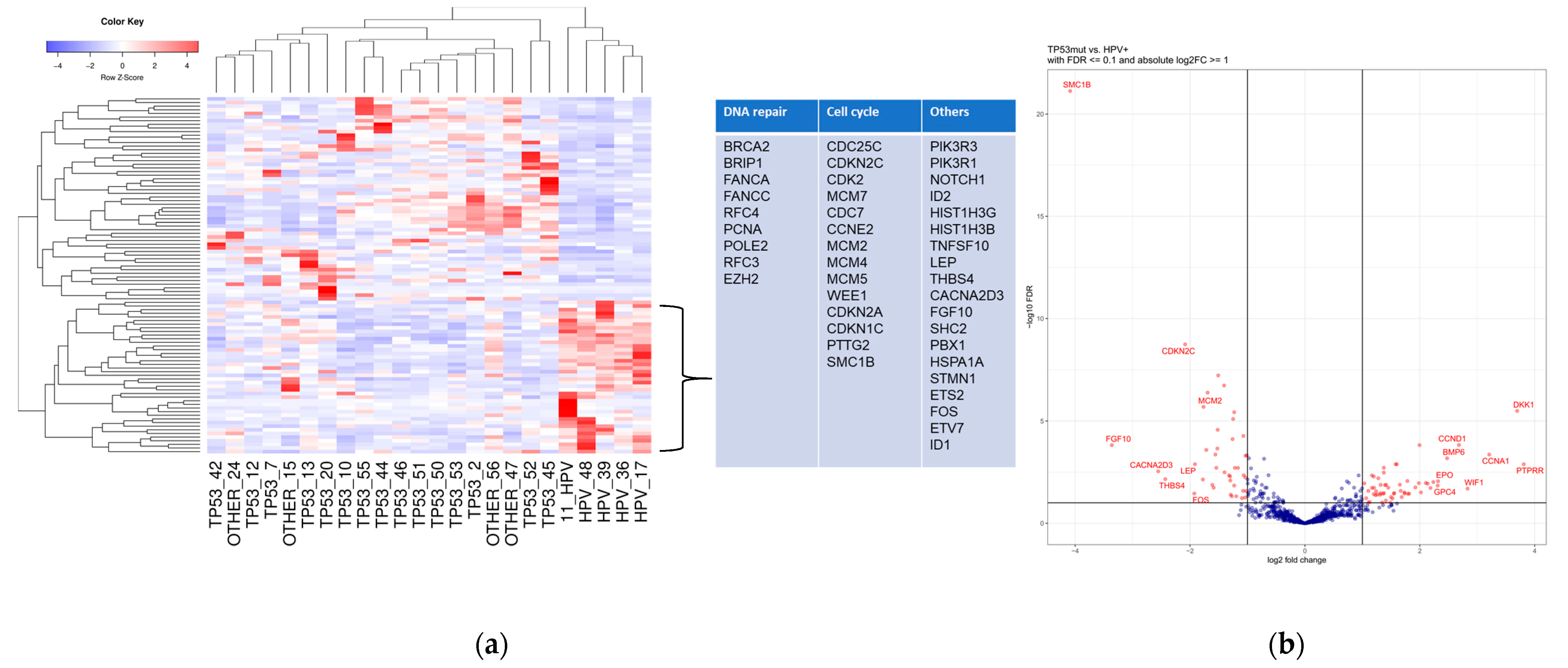 Cancers 13 06372 g001