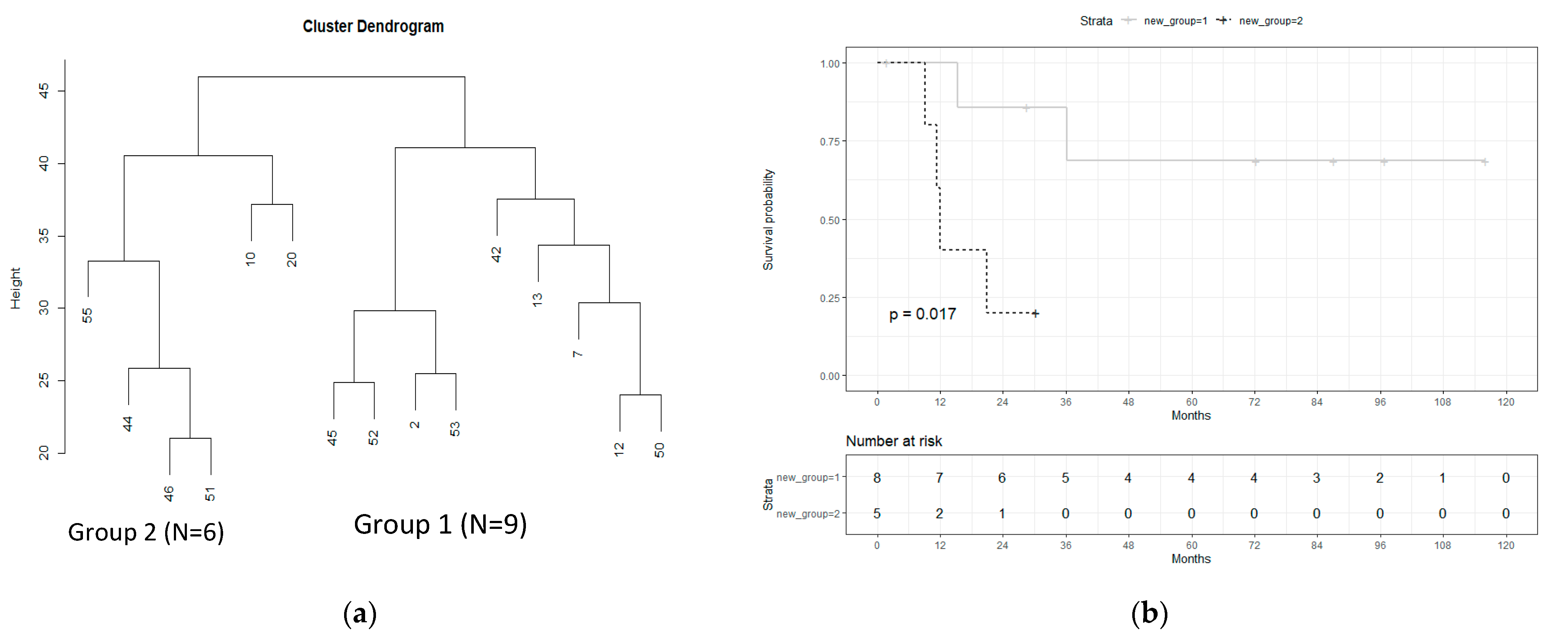 Cancers 13 06372 g002