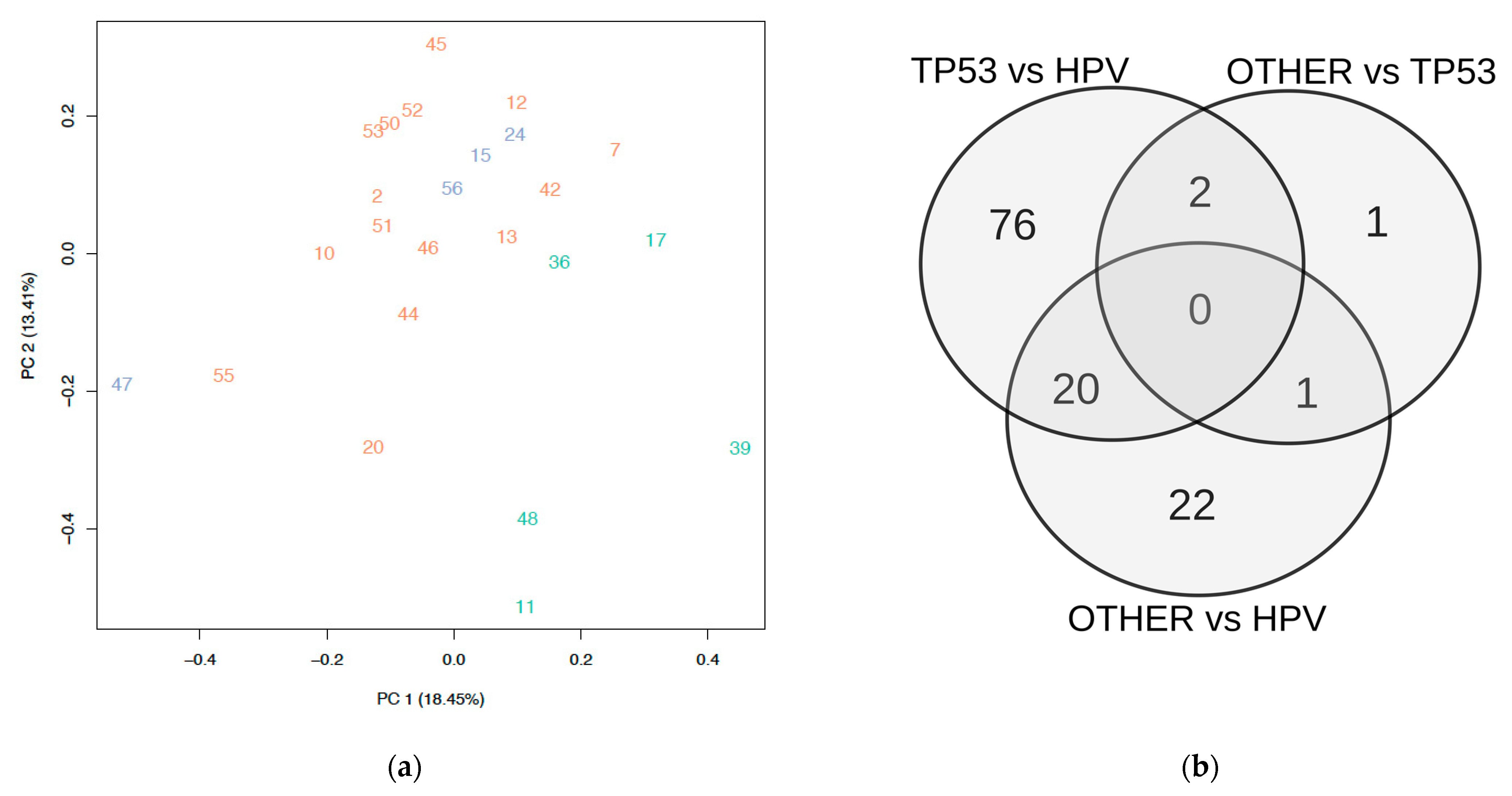 Cancers 13 06372 g004