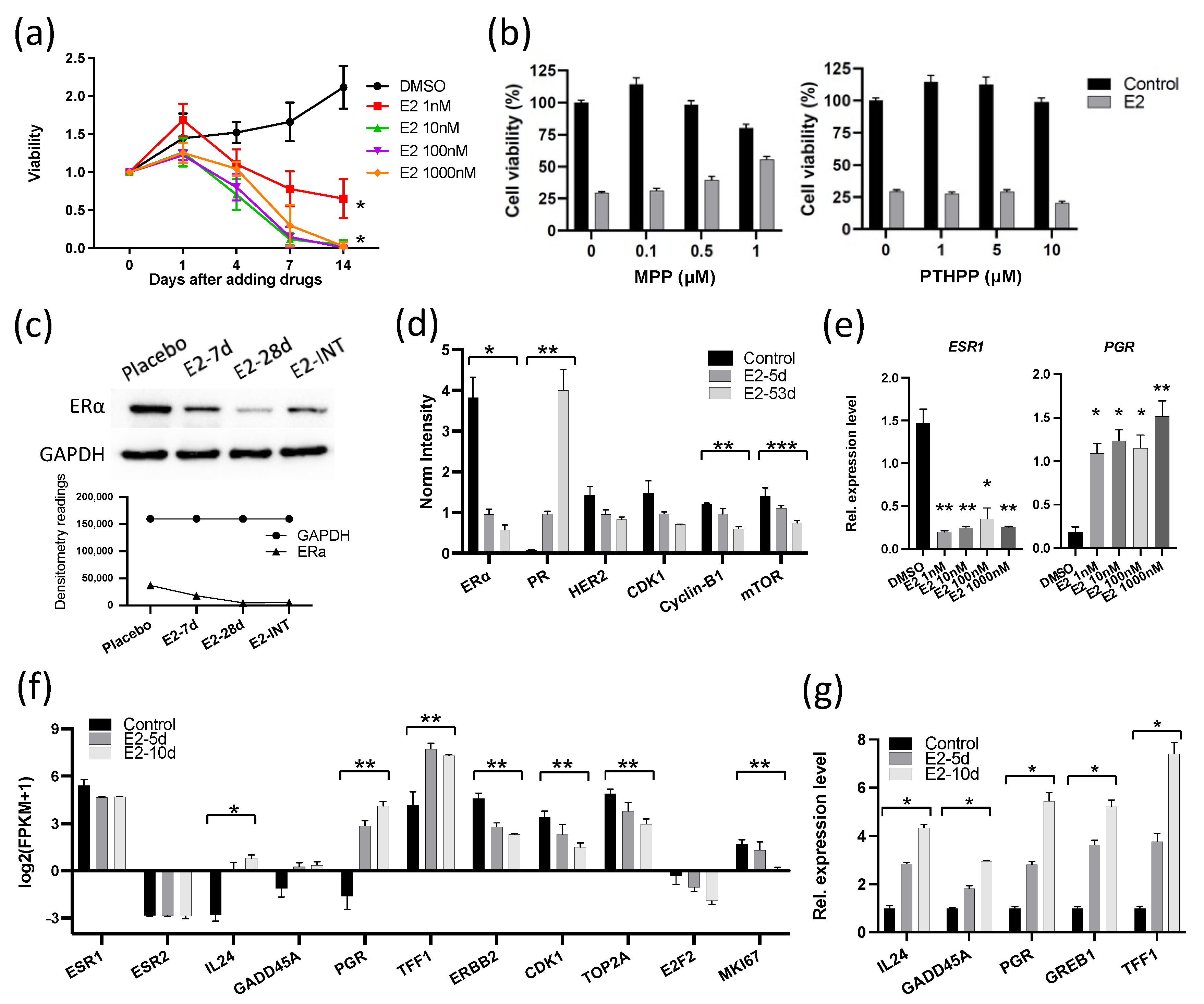 Cancers 13 06375 g002 Cancers 13 06375 g002