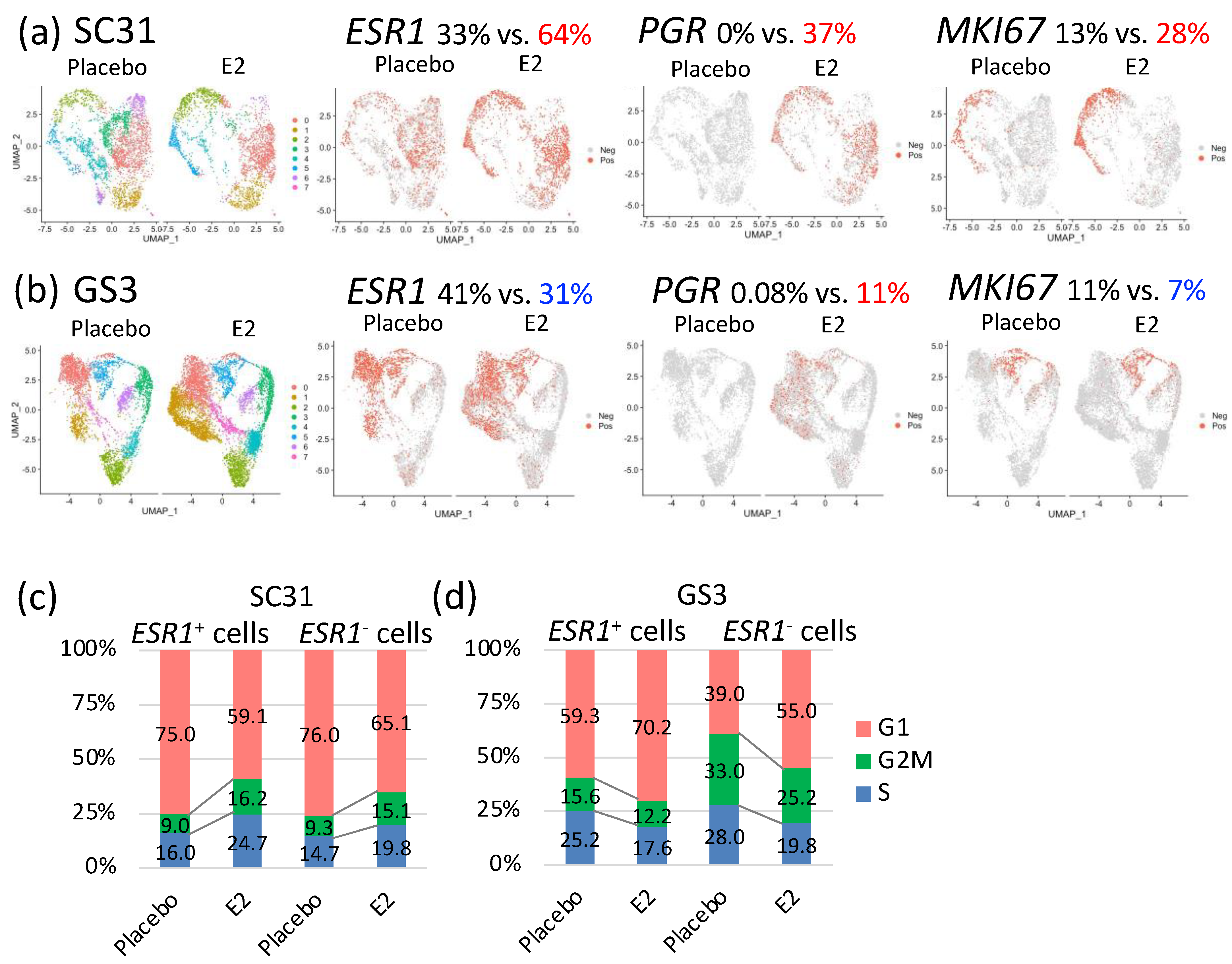 Cancers 13 06375 g004 Cancers 13 06375 g004