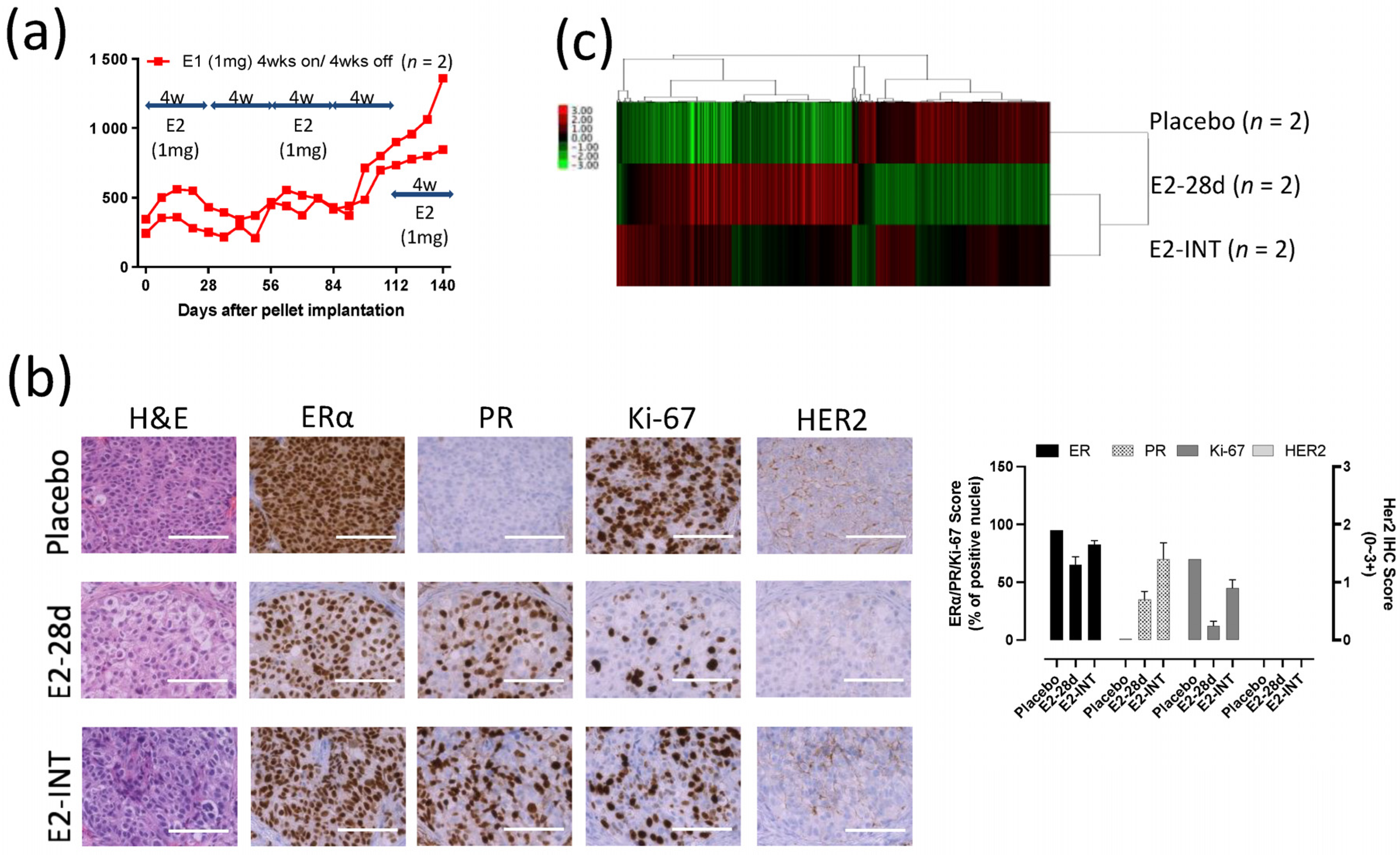 Cancers 13 06375 g006 Cancers 13 06375 g006