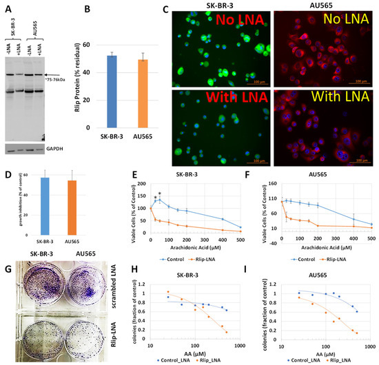 Cancers Free FullText Anticancer Activity of Ω6 Fatty Acids