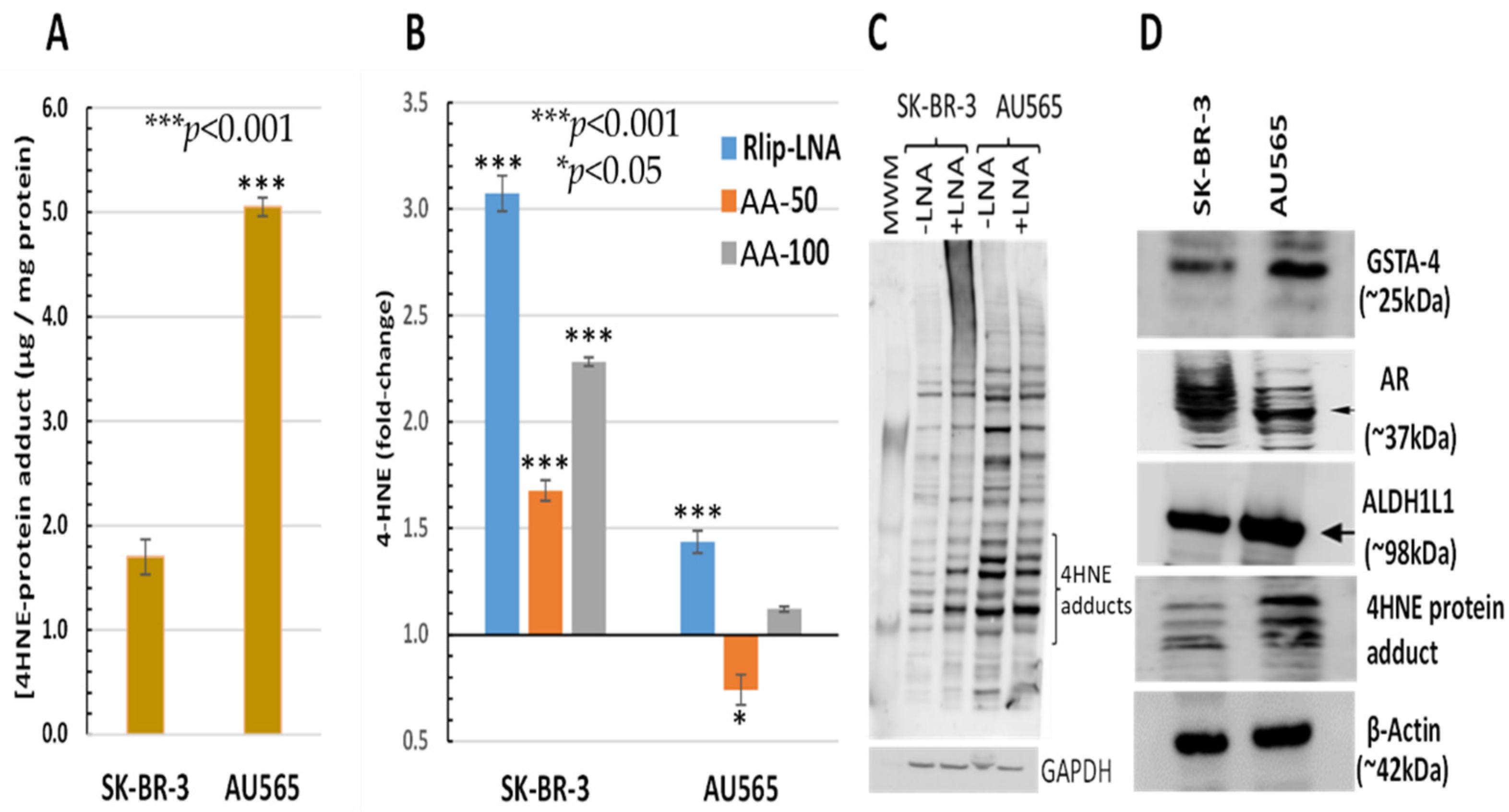 Cancers 13 06377 g003 Cancers 13 06377 g003