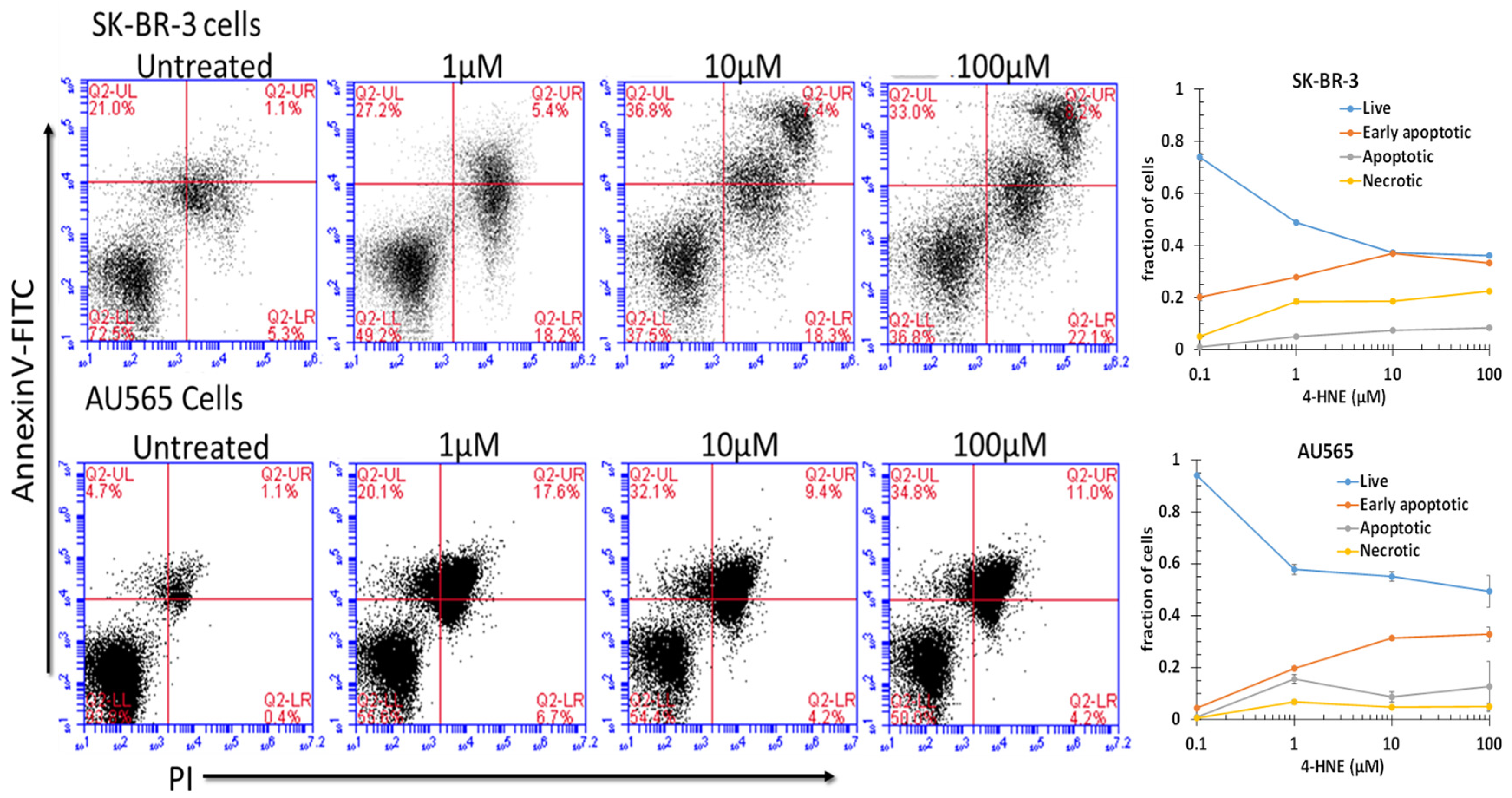 Cancers 13 06377 g004 Cancers 13 06377 g004