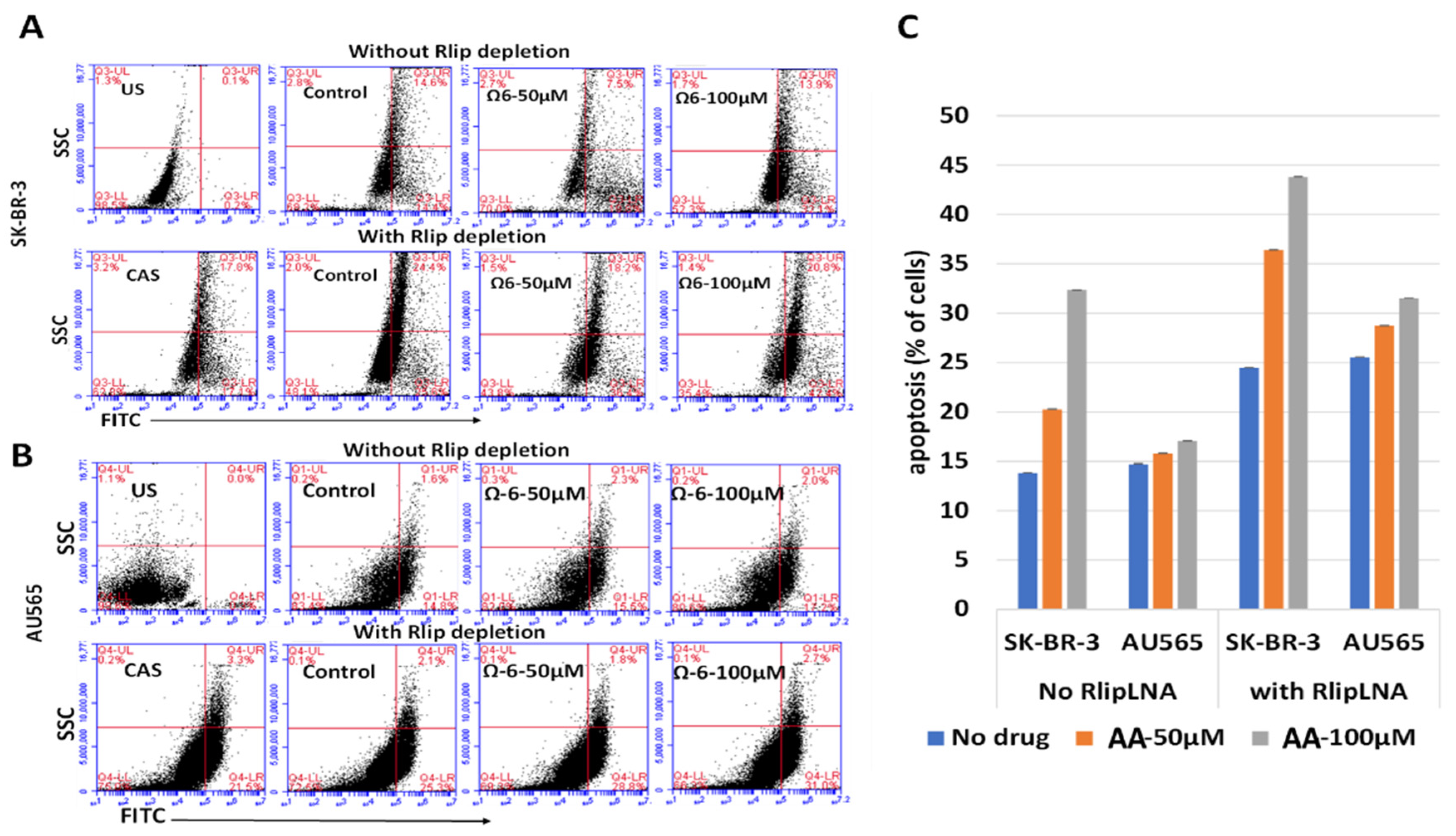 Cancers 13 06377 g005 Cancers 13 06377 g005