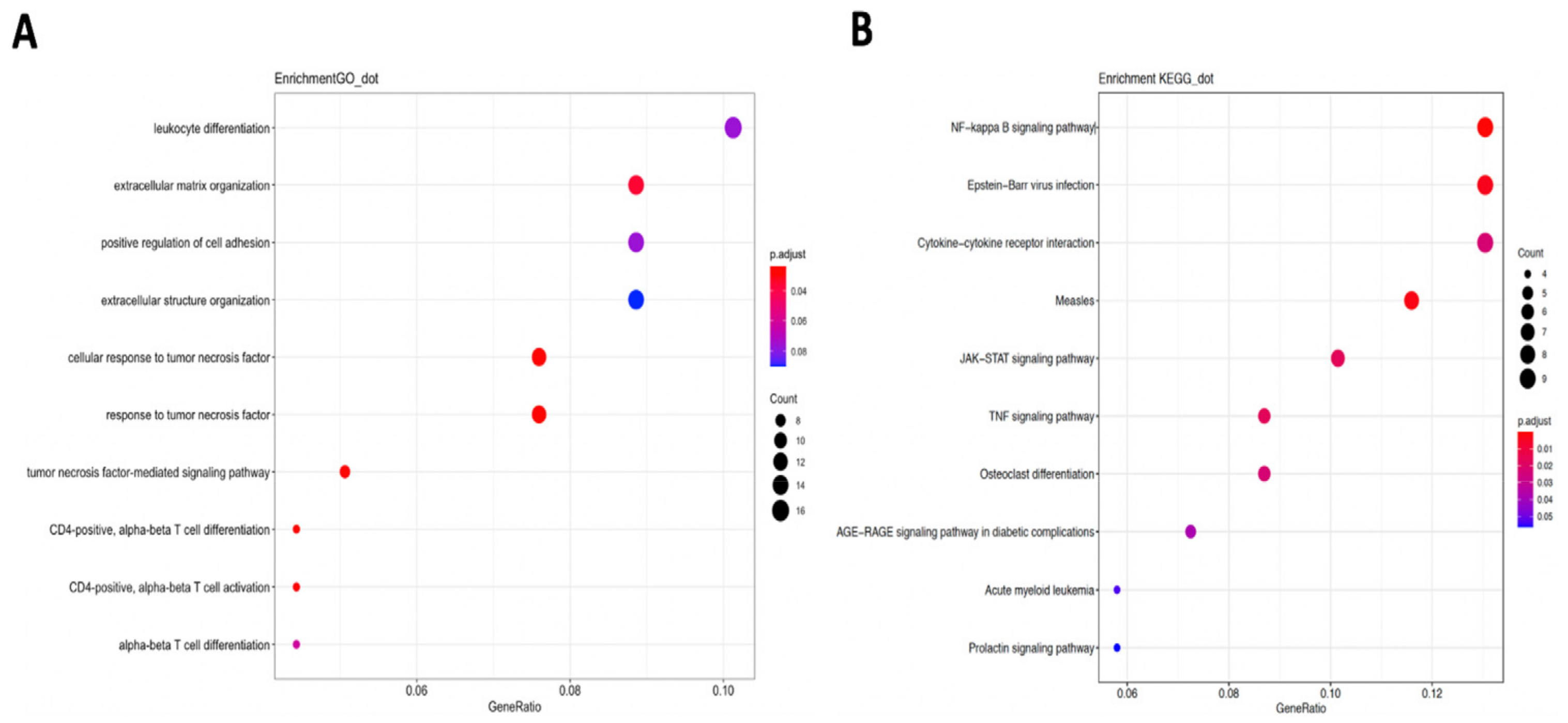 Cancers 13 06379 g003
