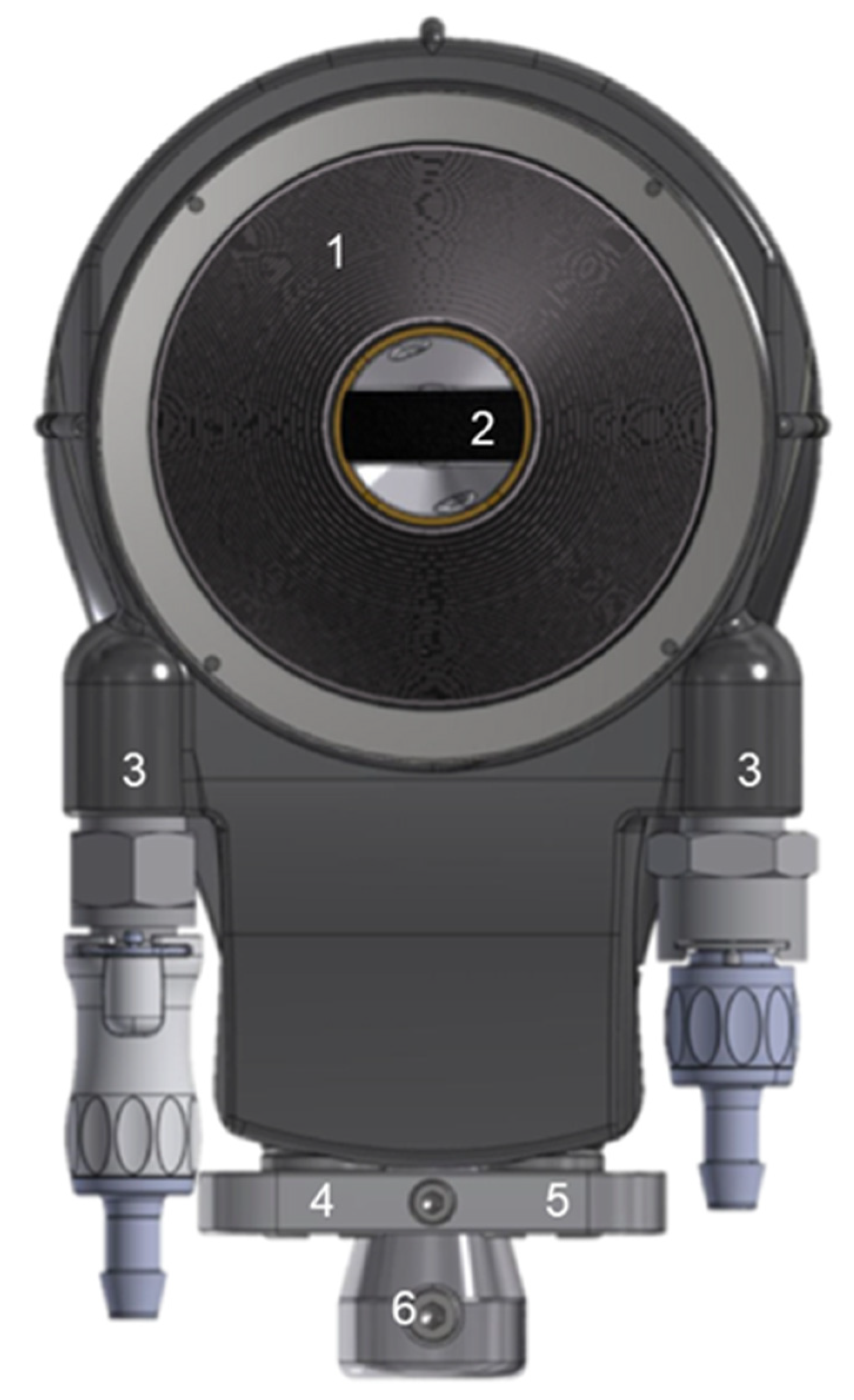 Cancers 13 06381 g001