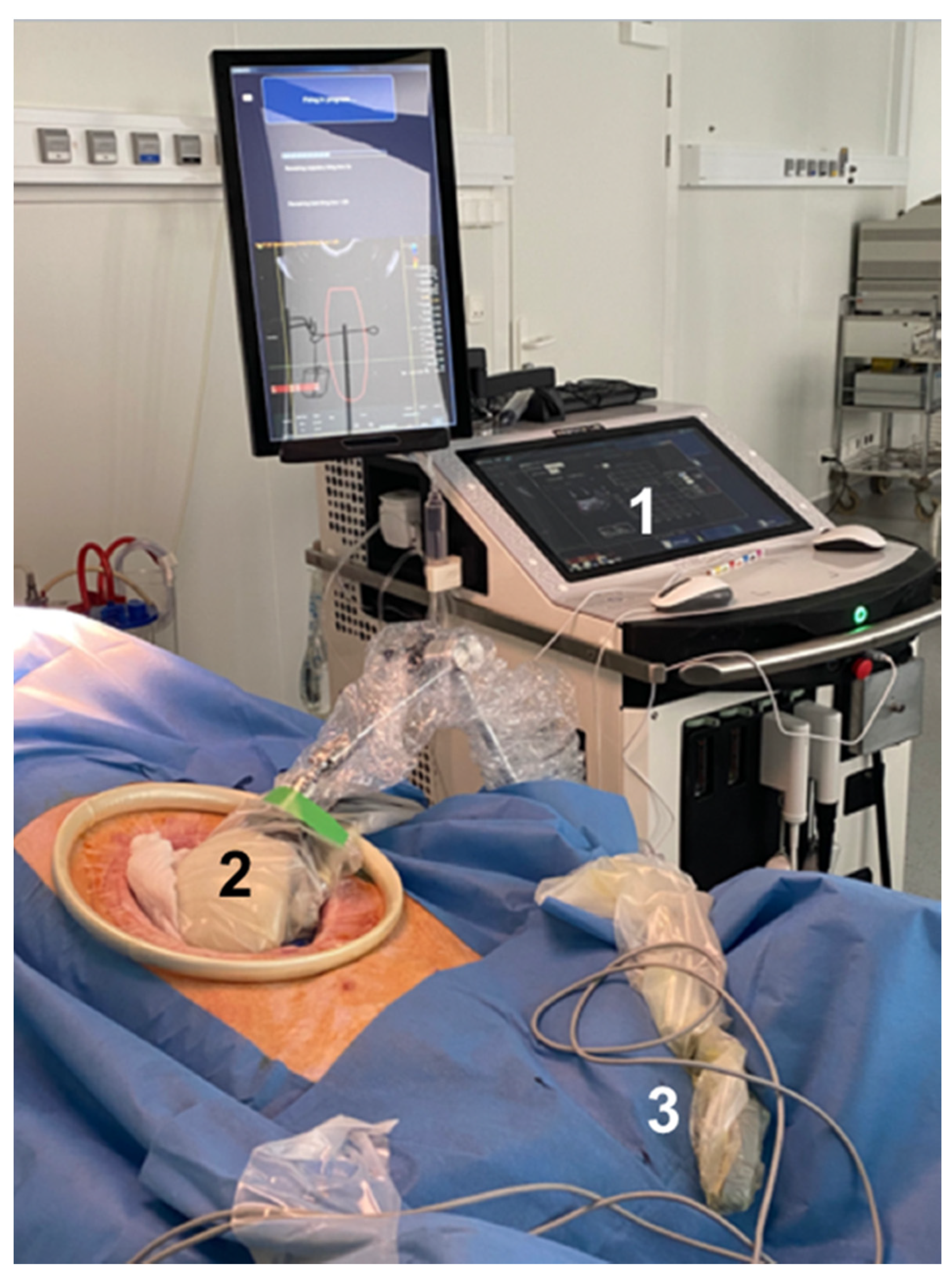 Cancers 13 06381 g002