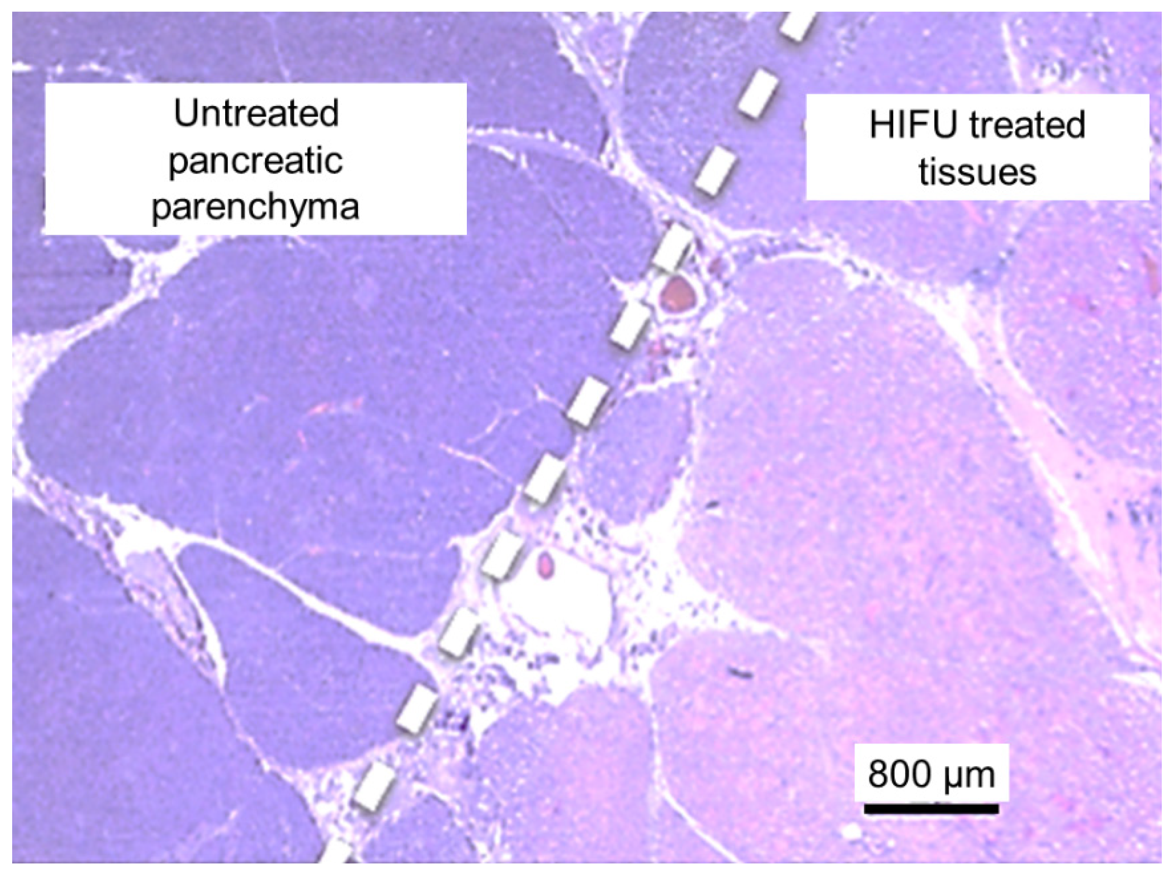 Cancers 13 06381 g005