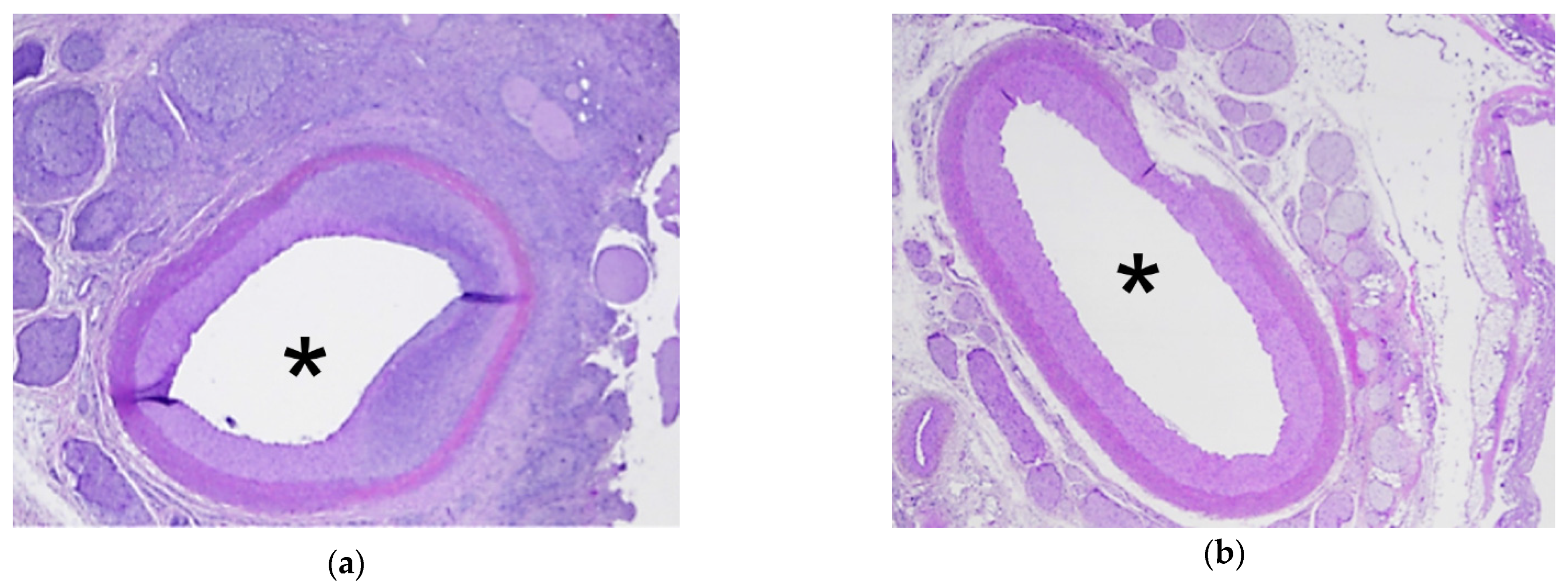 Cancers 13 06381 g006a