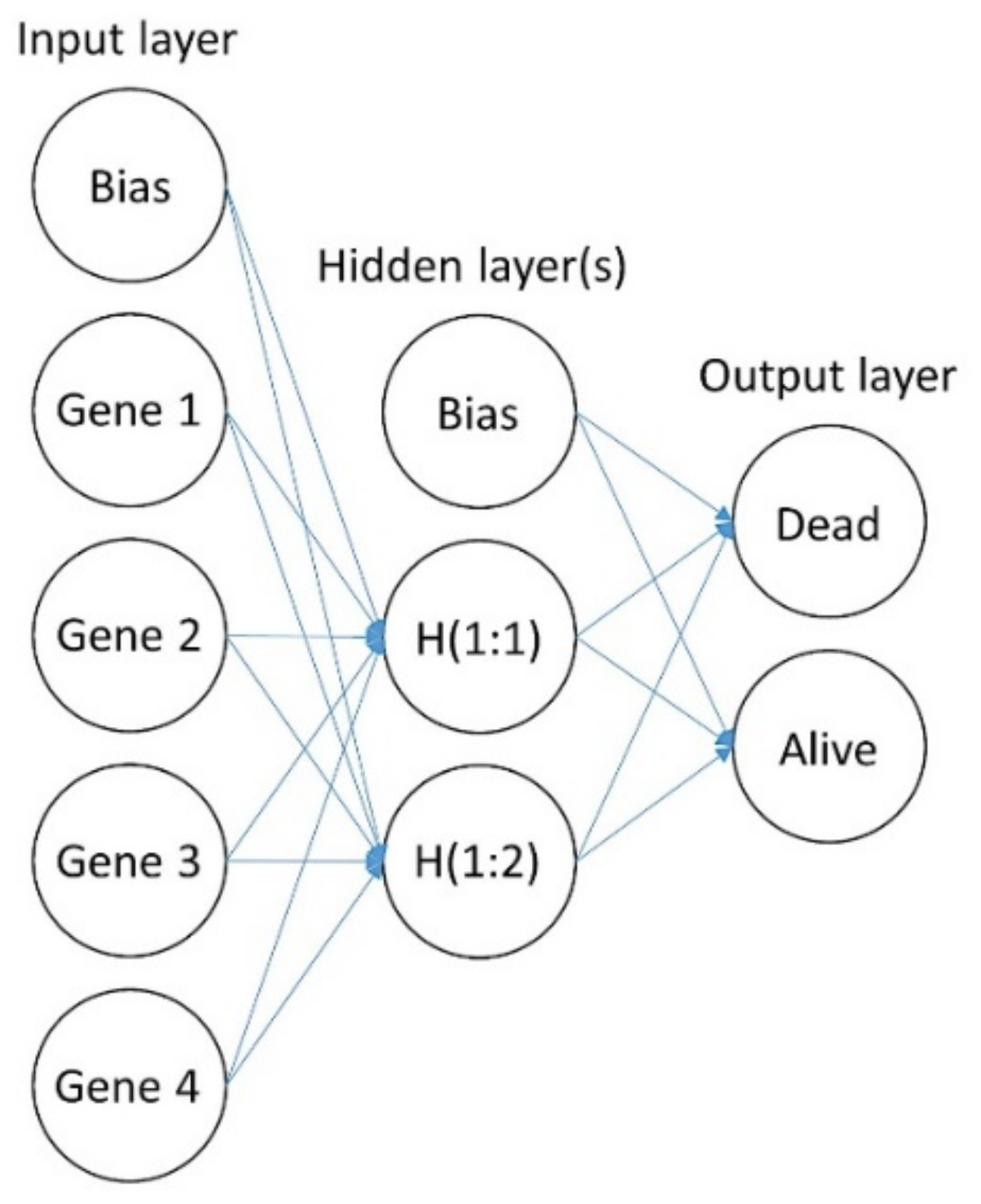 Cancers 13 06384 g002 550